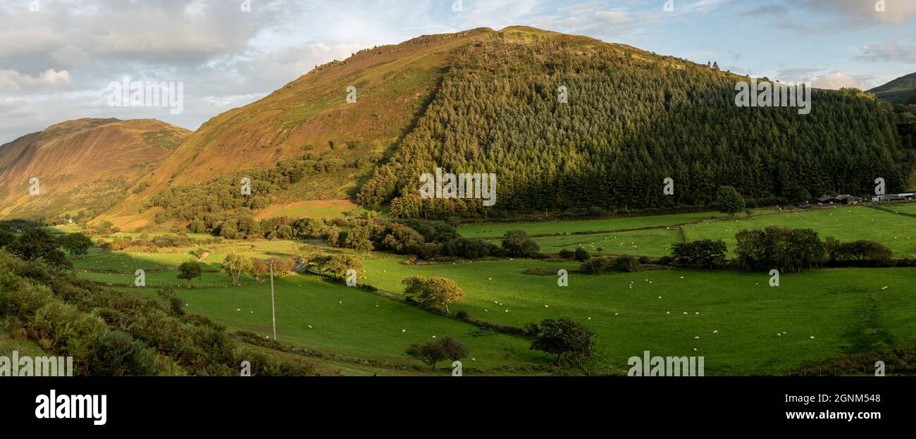 Collines galloises avec des pâturages verdoyants et des pentes boisées sous un ciel nuageux spectaculaire Banque D'Images