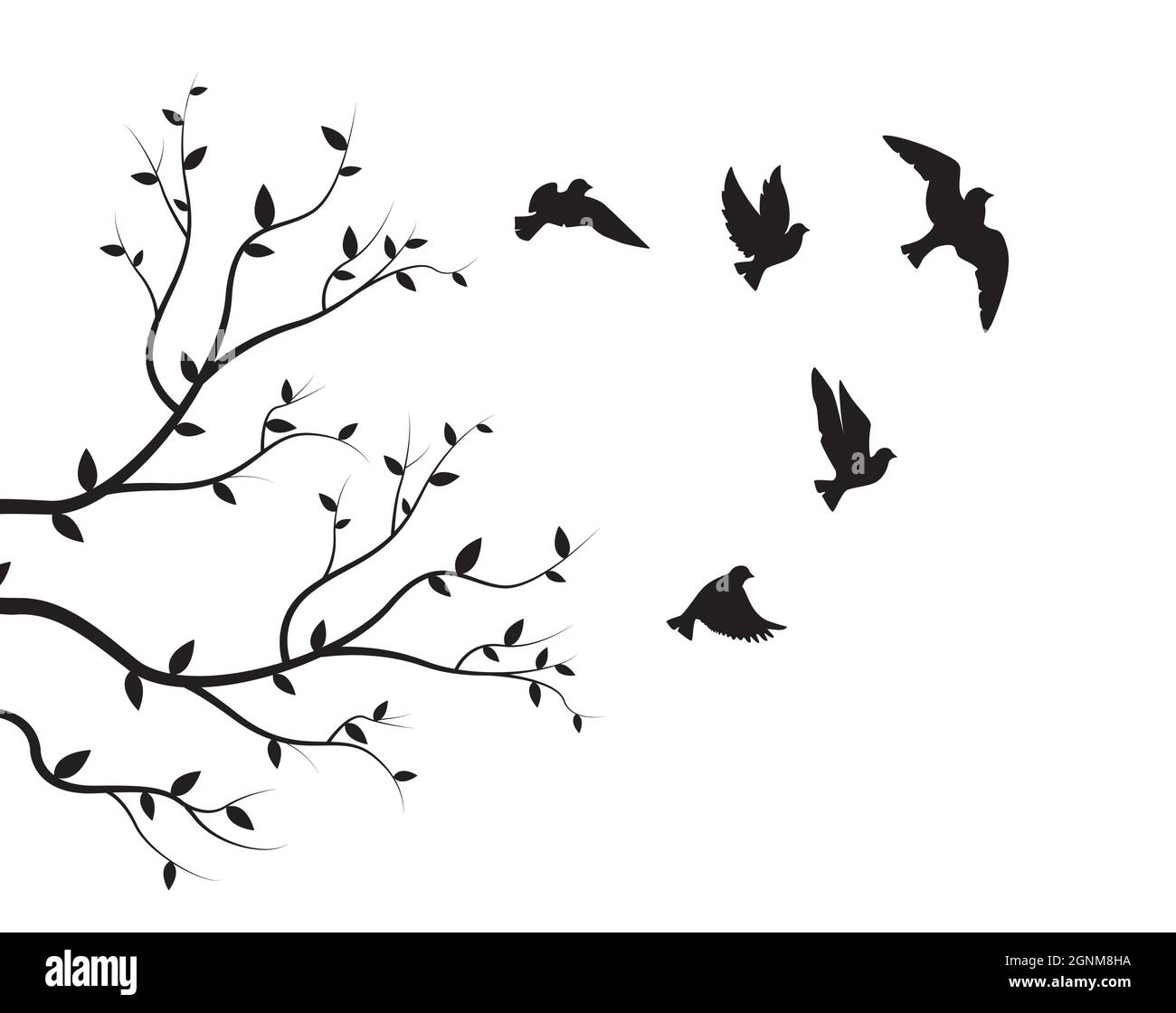 Silhouettes d'oiseaux volants et illustration de branches isolées sur fond blanc, vecteur. Décalcomanies murales naturelles, œuvres d'art murales, œuvres d'art. Noir et blanc minimal Illustration de Vecteur