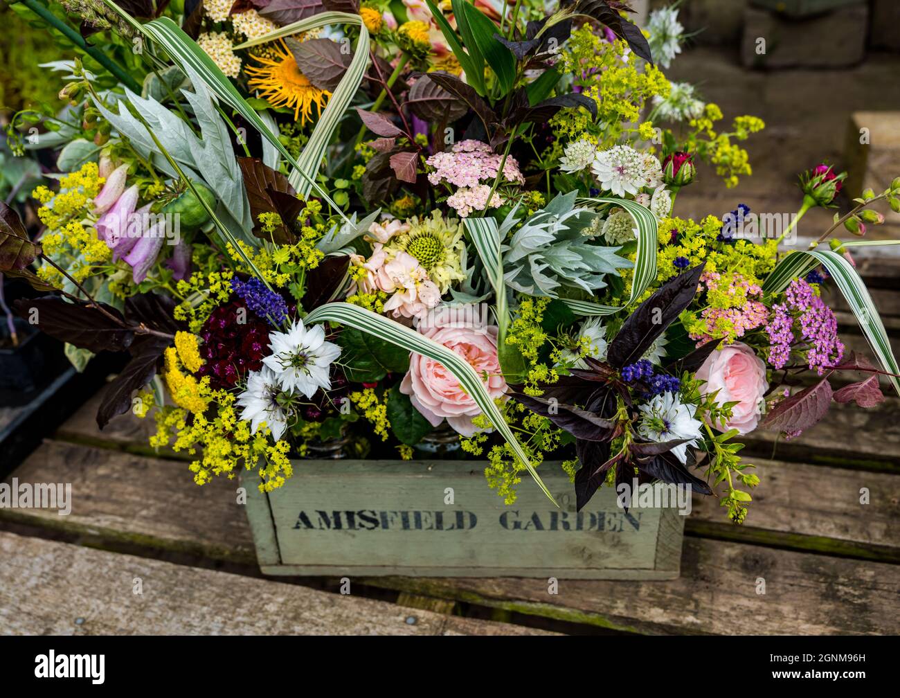 Bouquets de fleurs saisonnières à vendre, jardin clos d'Amisfield, East Lothian, Écosse, Royaume-Uni Banque D'Images
