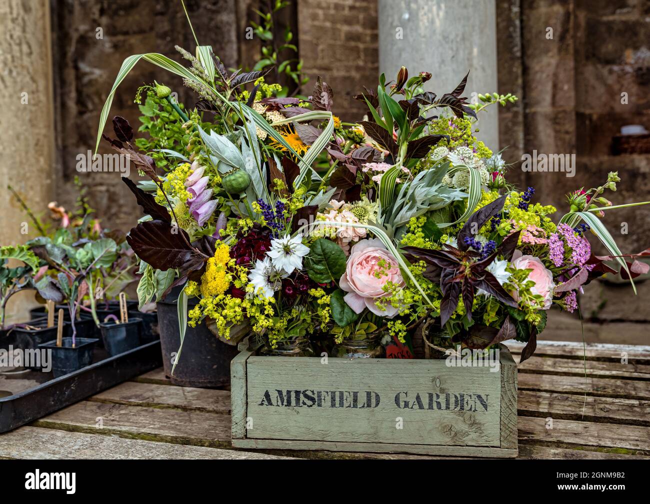 Bouquets de fleurs saisonnières à vendre, jardin clos d'Amisfield, East Lothian, Écosse, Royaume-Uni Banque D'Images