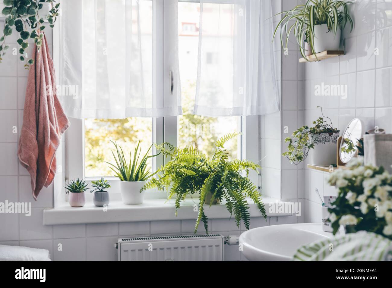 Belle salle de bains moderne blanche avec une grande fenêtre Banque D'Images