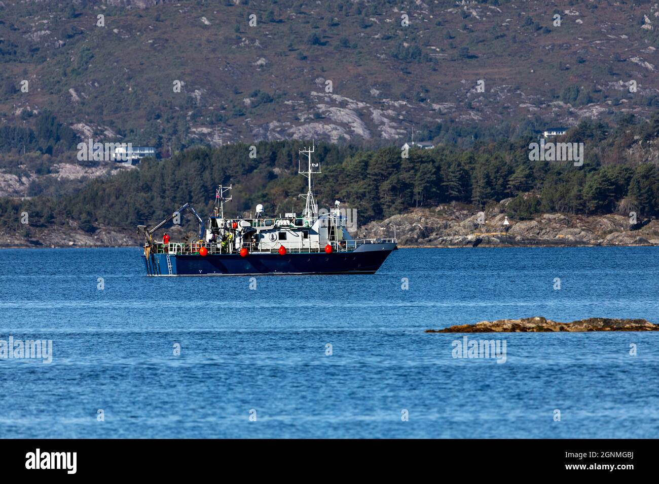 Navire de recherche océanique Hans Brattstrom (Brattstrøm) dans le fjord Raunefjorden à l'extérieur de Bergen, en Norvège. Propriété de l'Université de Bergen, Institut de M Banque D'Images