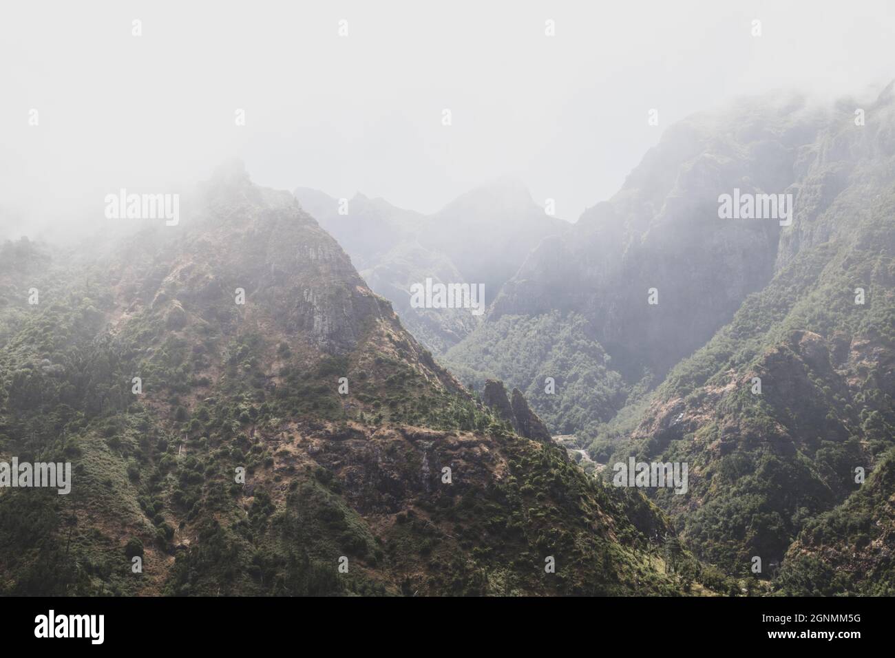 Montagnes pittoresques avec brouillard à l'île de Madère au Portugal Banque D'Images