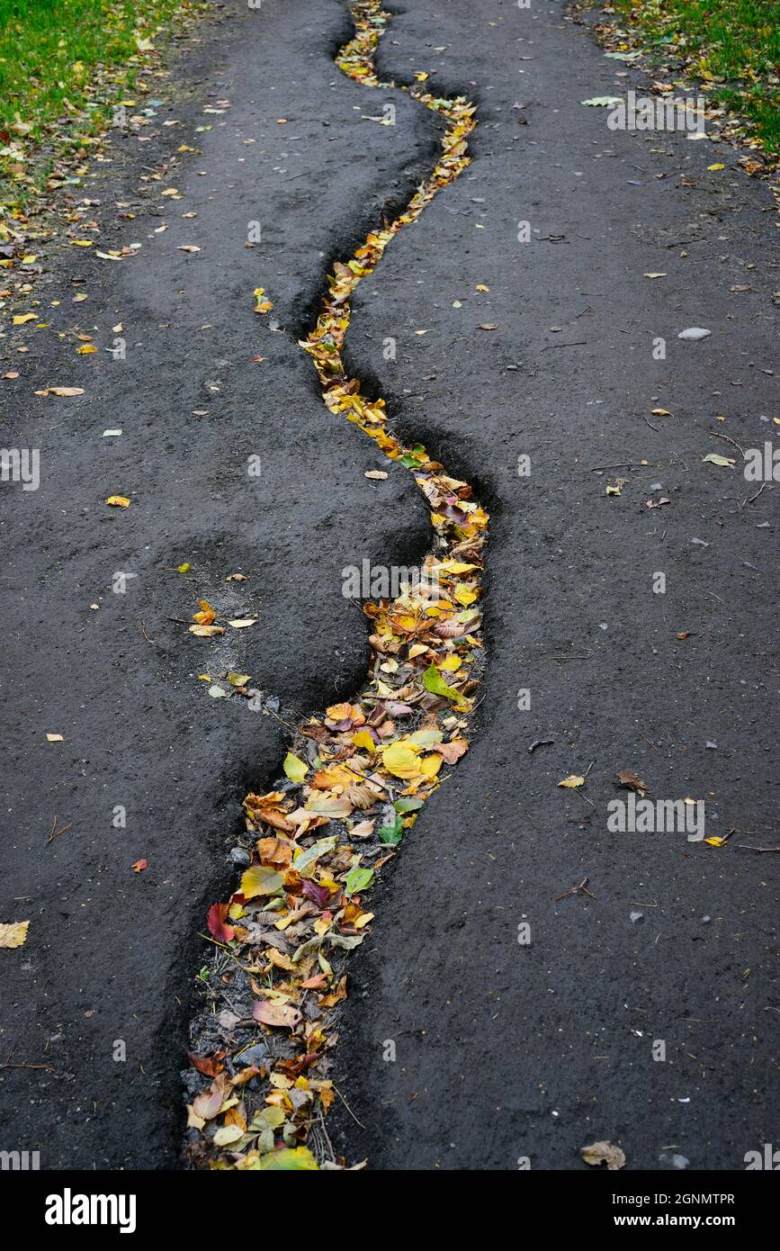 chemin délavé par la pluie dans le parc d'automne Banque D'Images