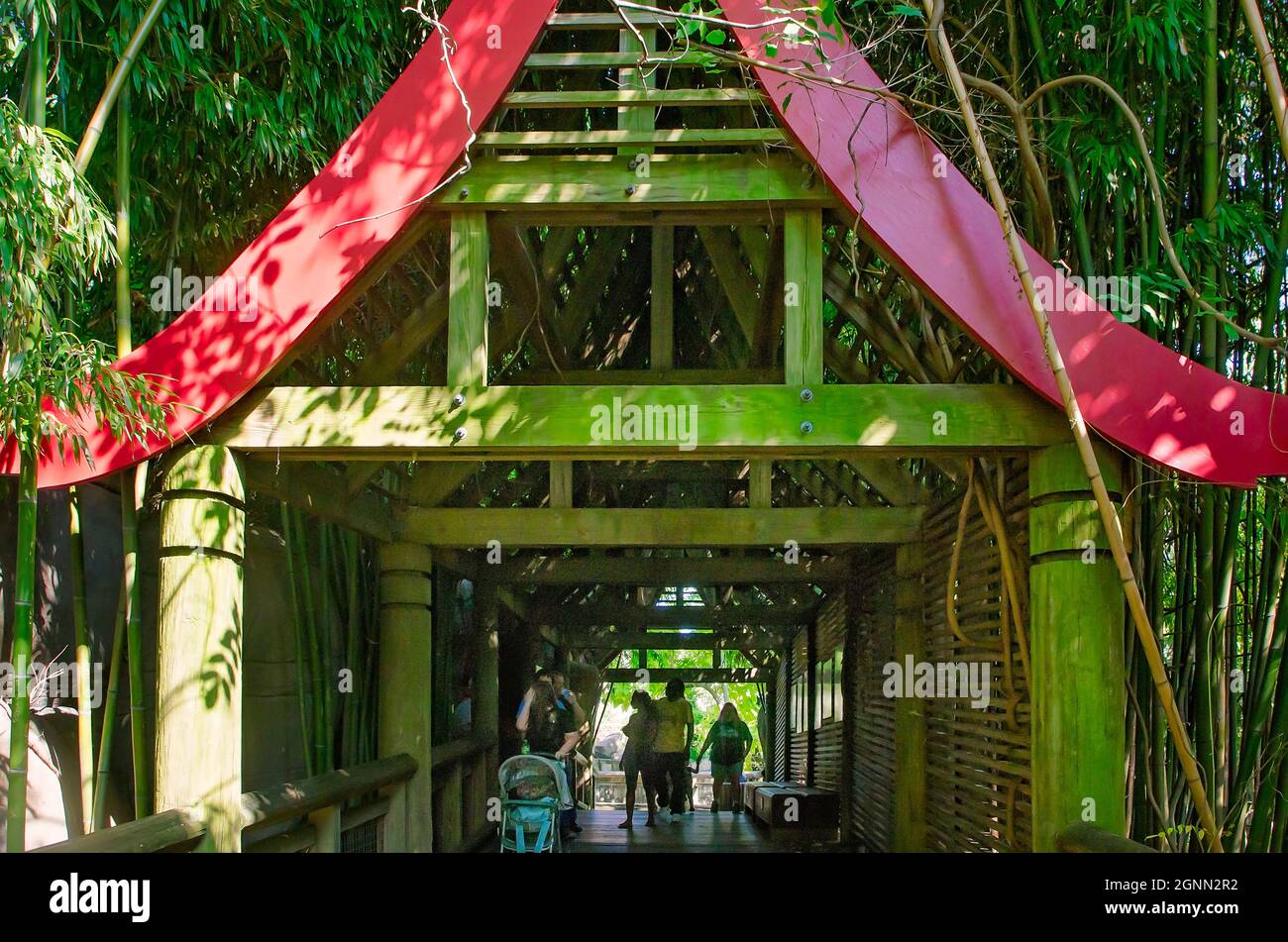 Les gens traversent un pont de pagode asiatique dans l'enceinte de Cat Country au zoo de Memphis, le 8 septembre 2015, à Memphis, Tennessee. Banque D'Images