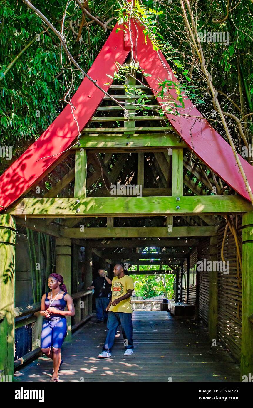 Les gens traversent un pont de pagode asiatique dans l'enceinte de Cat Country au zoo de Memphis, le 8 septembre 2015, à Memphis, Tennessee. Banque D'Images