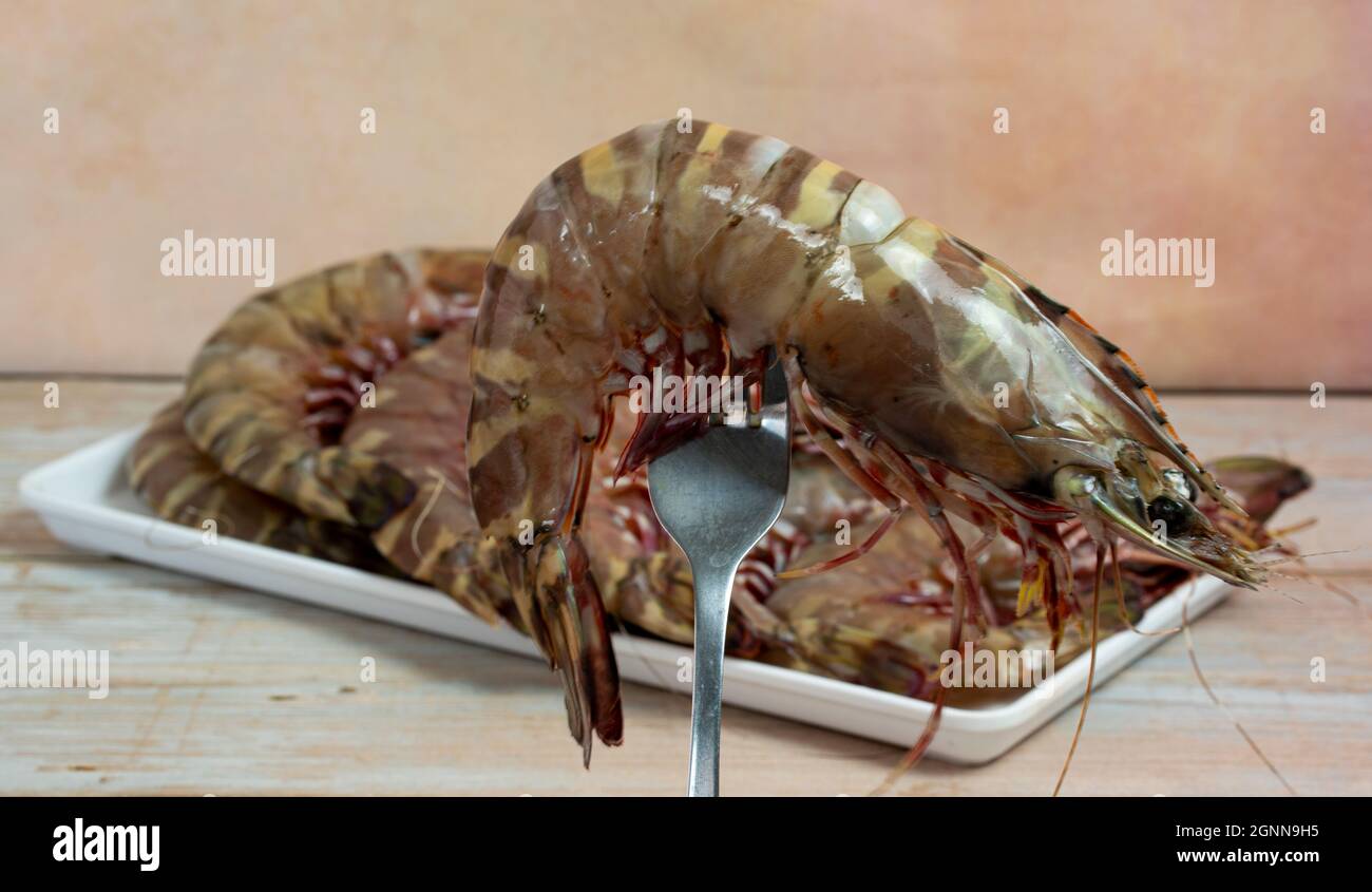 Crevettes géantes fraîches de tigre percées sur une fourchette. Crevettes tigrées largement élevées pour le marché. Points de mise au point sélective Banque D'Images