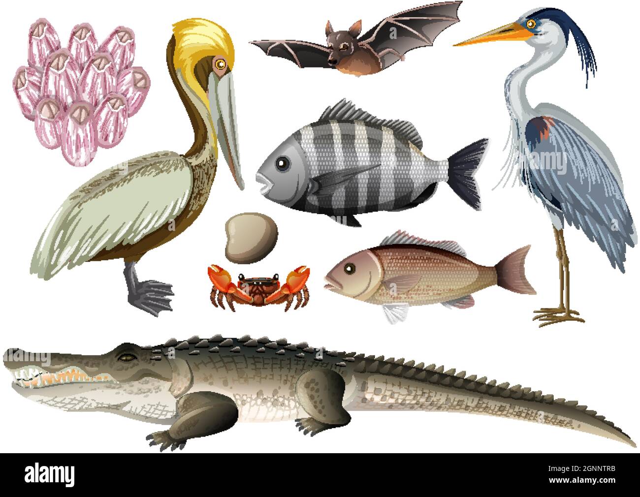 Schéma sans couture avec illustration des animaux de la forêt de mangroves Illustration de Vecteur