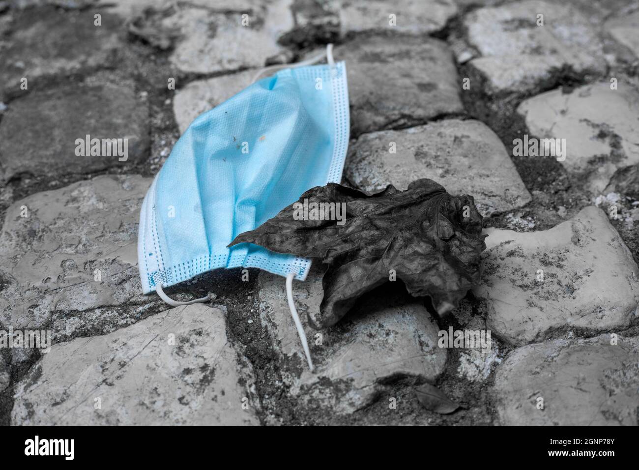 Utilisé le mât médical bleu FFTP-2 s'est fronci-dessus sur une chaussée pavée grise avec feuille d'érable sèche. Noir et blanc avec bleu. Image de contraste Banque D'Images