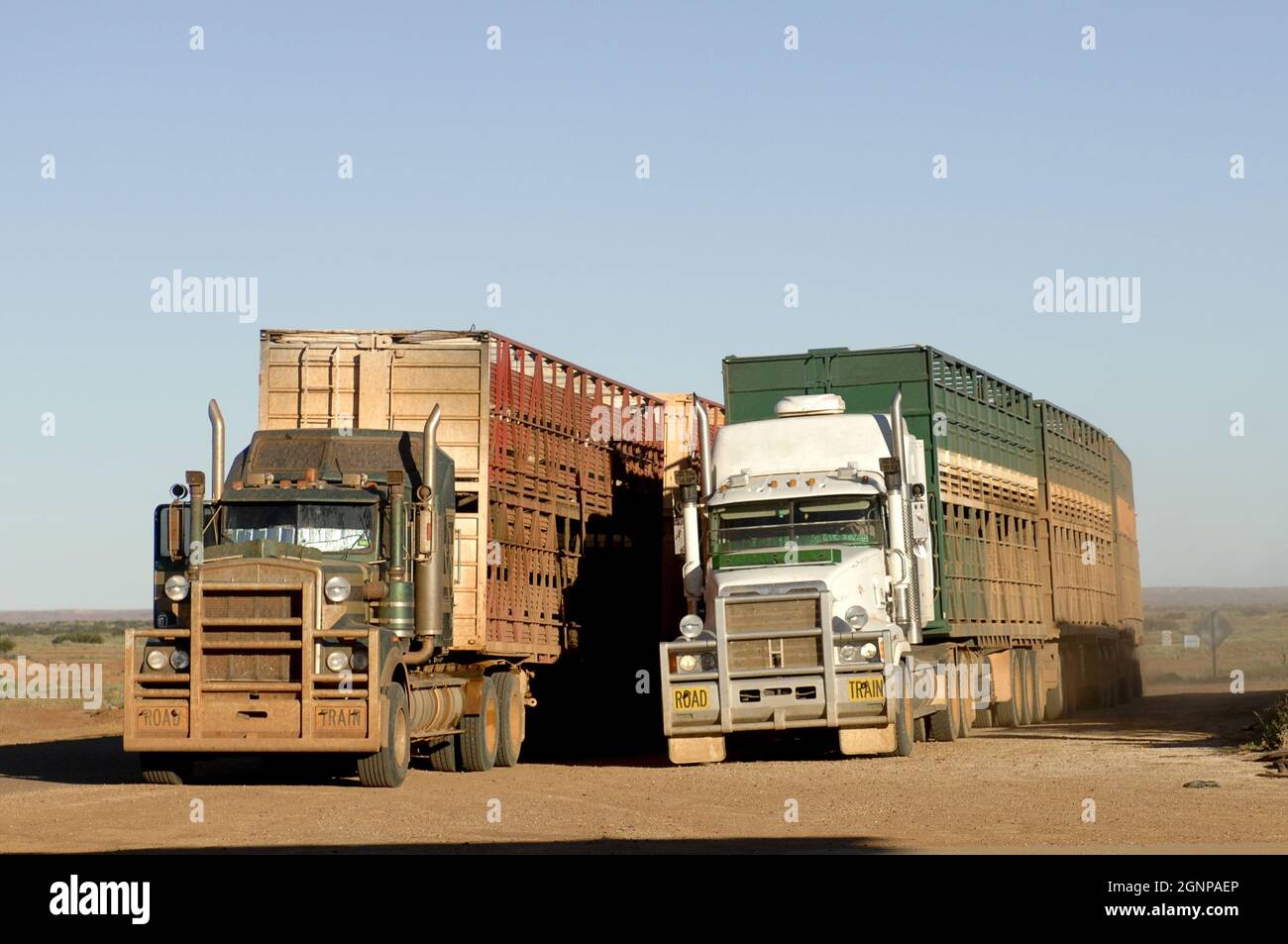 Deux trains routiers à l'Outback, en Australie, Oodnadatta Banque D'Images