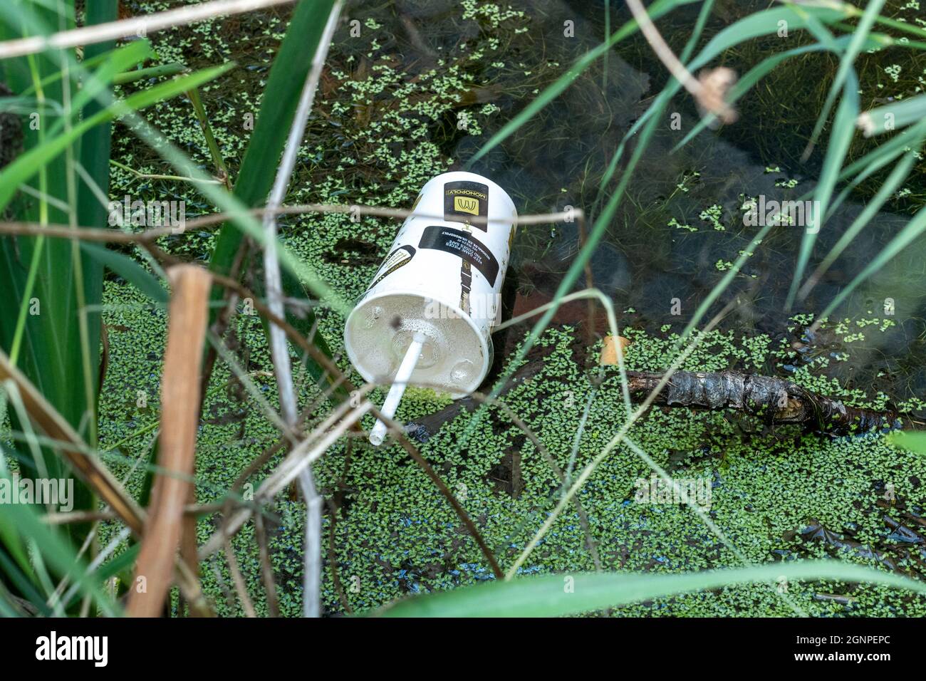 McDonalds gobelet à emporter et paille en plastique déversée dans un lac, pollution des emballages en plastique, Royaume-Uni Banque D'Images