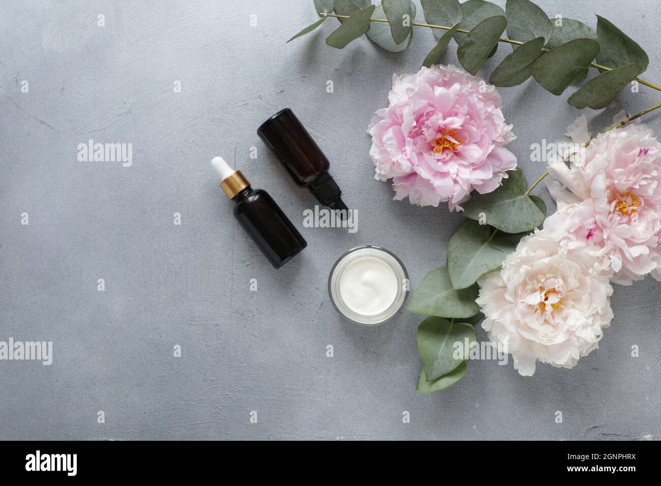 Beauté concept sérum et pot avec crème et eucalyptus Banque D'Images