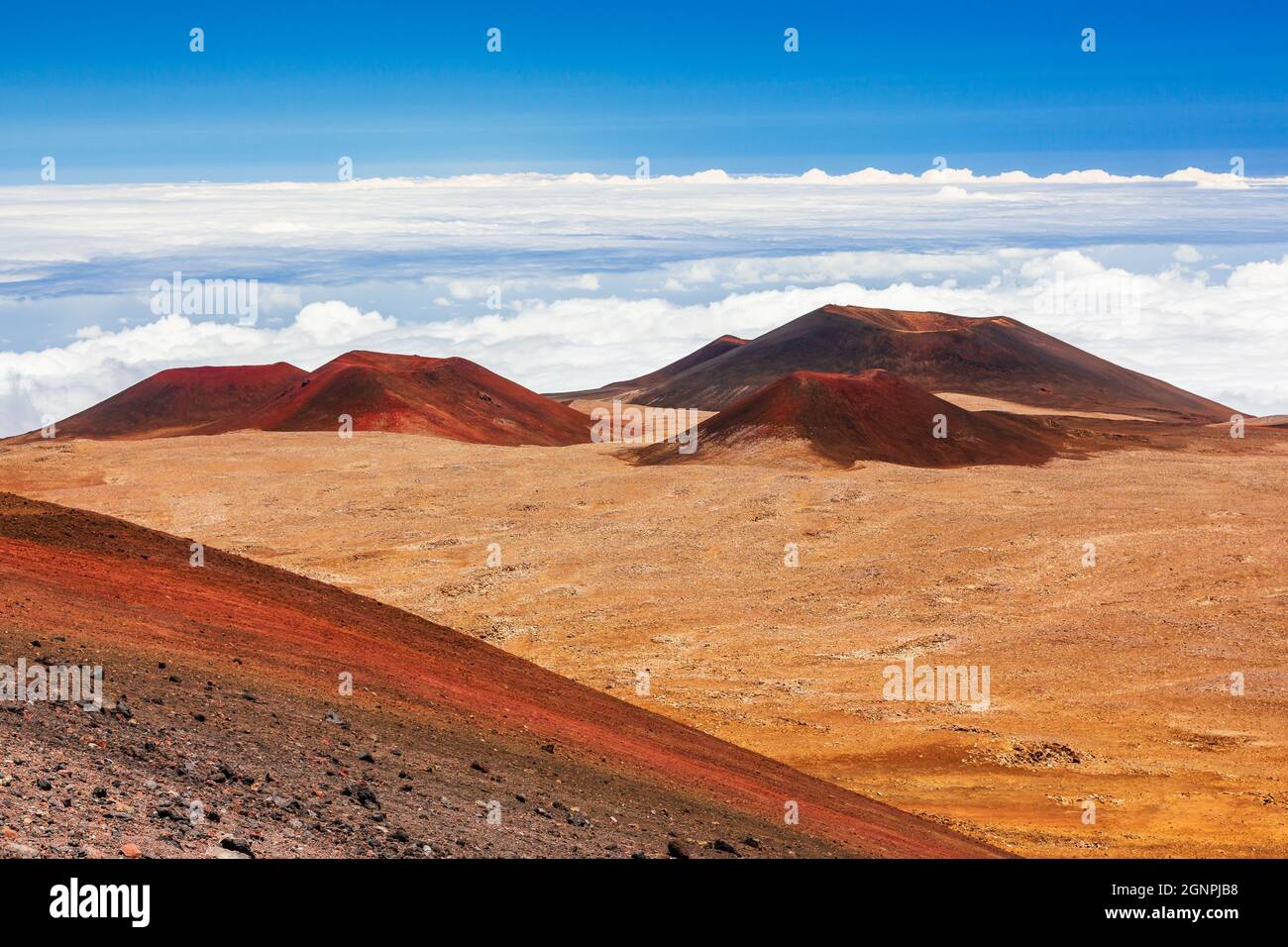 Hilo, Hawaï (la Grande île). Vue sur le sommet de Mauna Kea. Banque D'Images