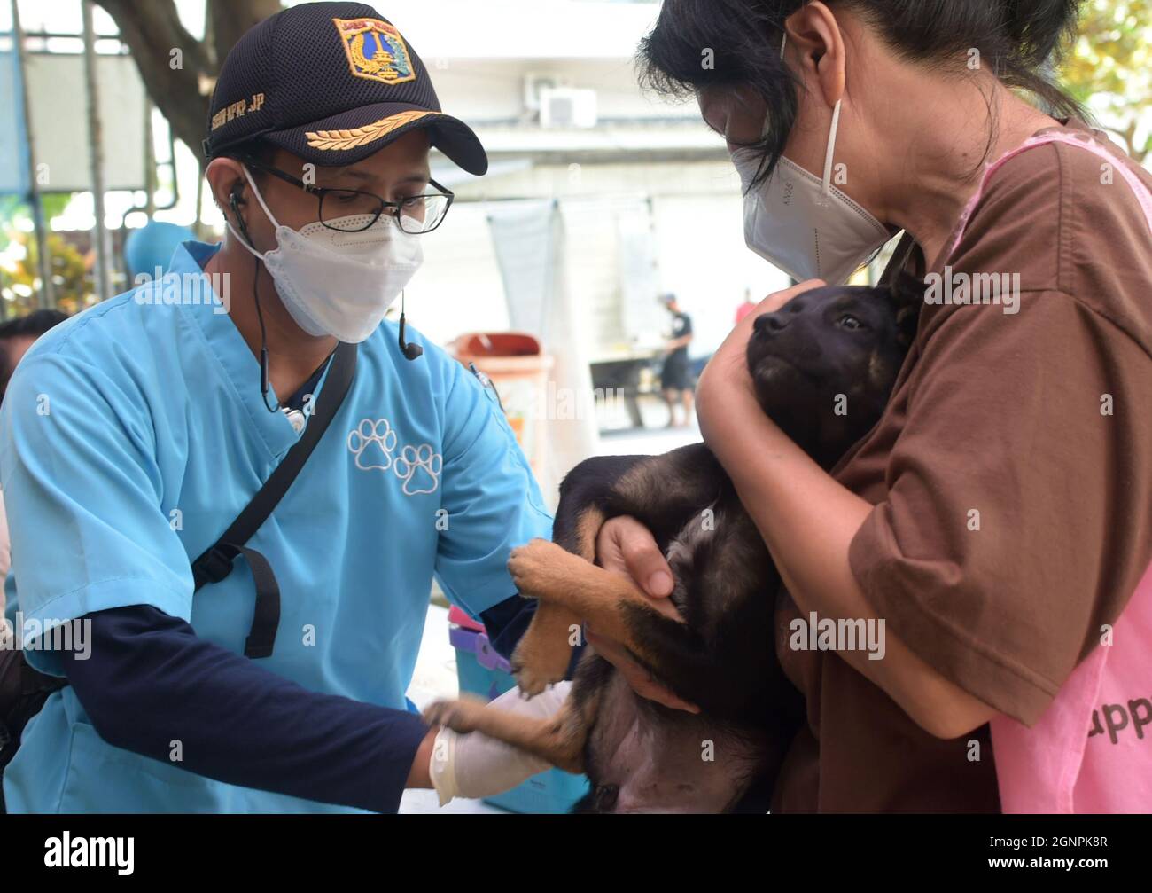 Jakarta, Indonésie. 27 septembre 2021. Un chien de compagnie reçoit un vaccin gratuit contre la rage à Jakarta, Indonésie, le 27 septembre 2021. La Journée mondiale de la rage est célébrée le 28 septembre afin de sensibiliser les animaux de compagnie à la prévention de la rage. Credit: Zulkarnain/Xinhua/Alamy Live News Banque D'Images