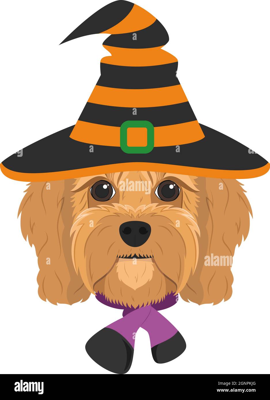 Carte de voeux pour Halloween. Chien de Cavoodle habillé comme une sorcière avec chapeau noir et orange et foulard violet et noir Illustration de Vecteur