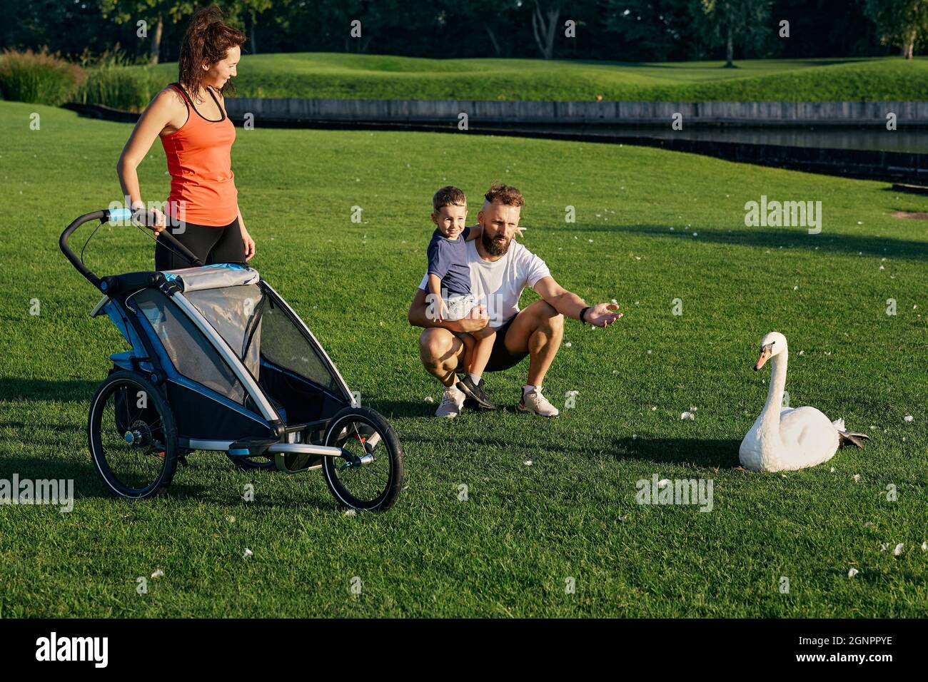 Une jeune famille heureuse avec son fils passe du temps ensemble tout en marchant avec une poussette sur une pelouse verte dans le parc national et en interagissant avec des cygnes. Famil Banque D'Images