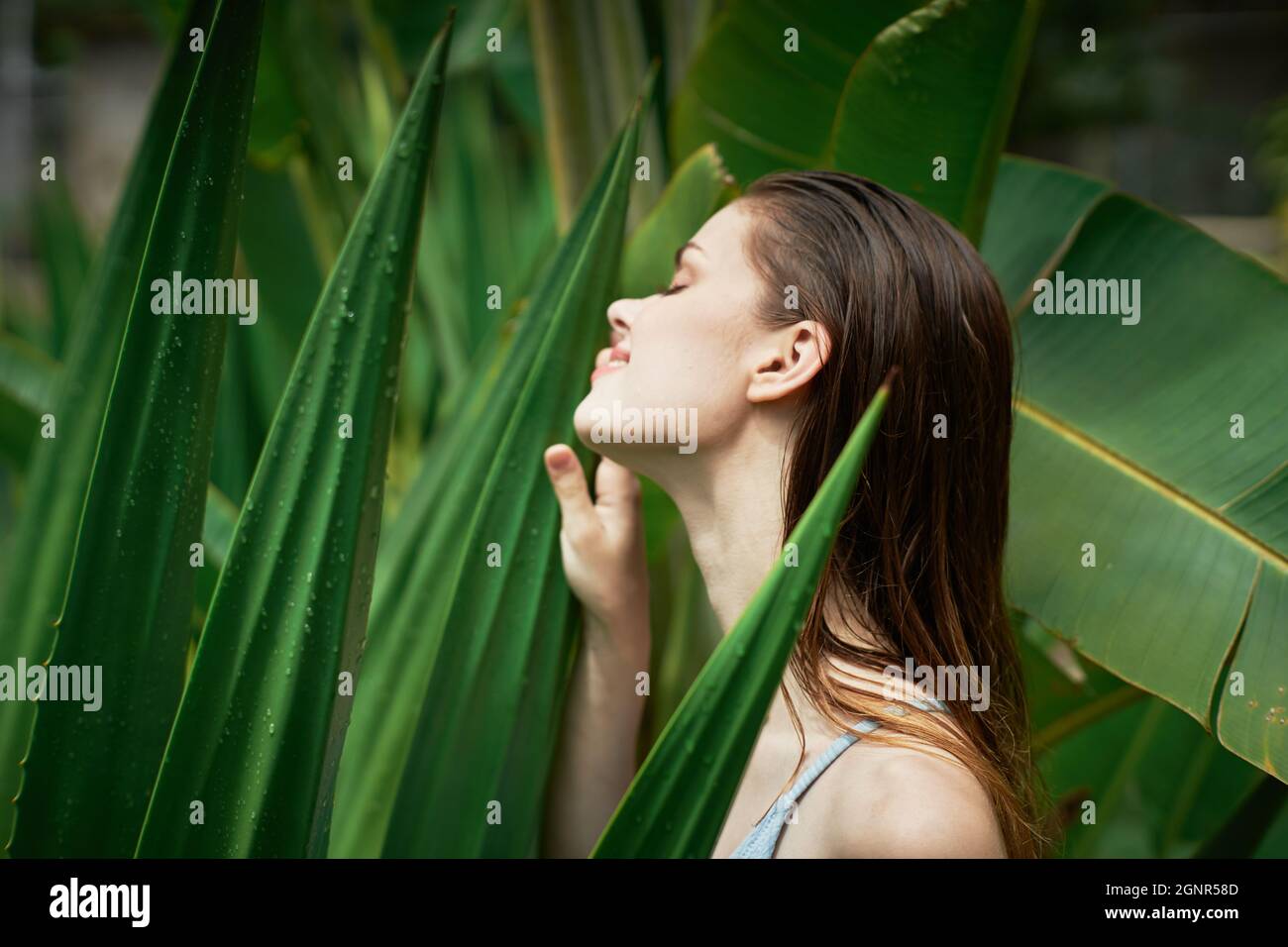 belle femme aux cheveux mouillés près des feuilles vertes sur la nature  buissons modèle jungle Photo Stock - Alamy