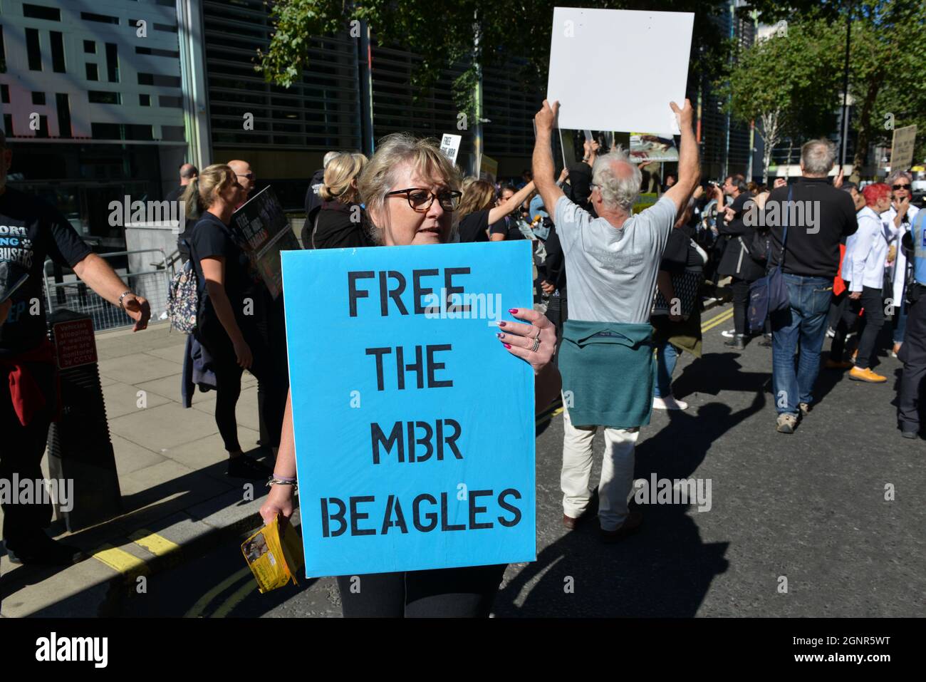 Les manifestants tiennent des pancartes pendant le rassemblement Free the MBR Beagles. Banque D'Images