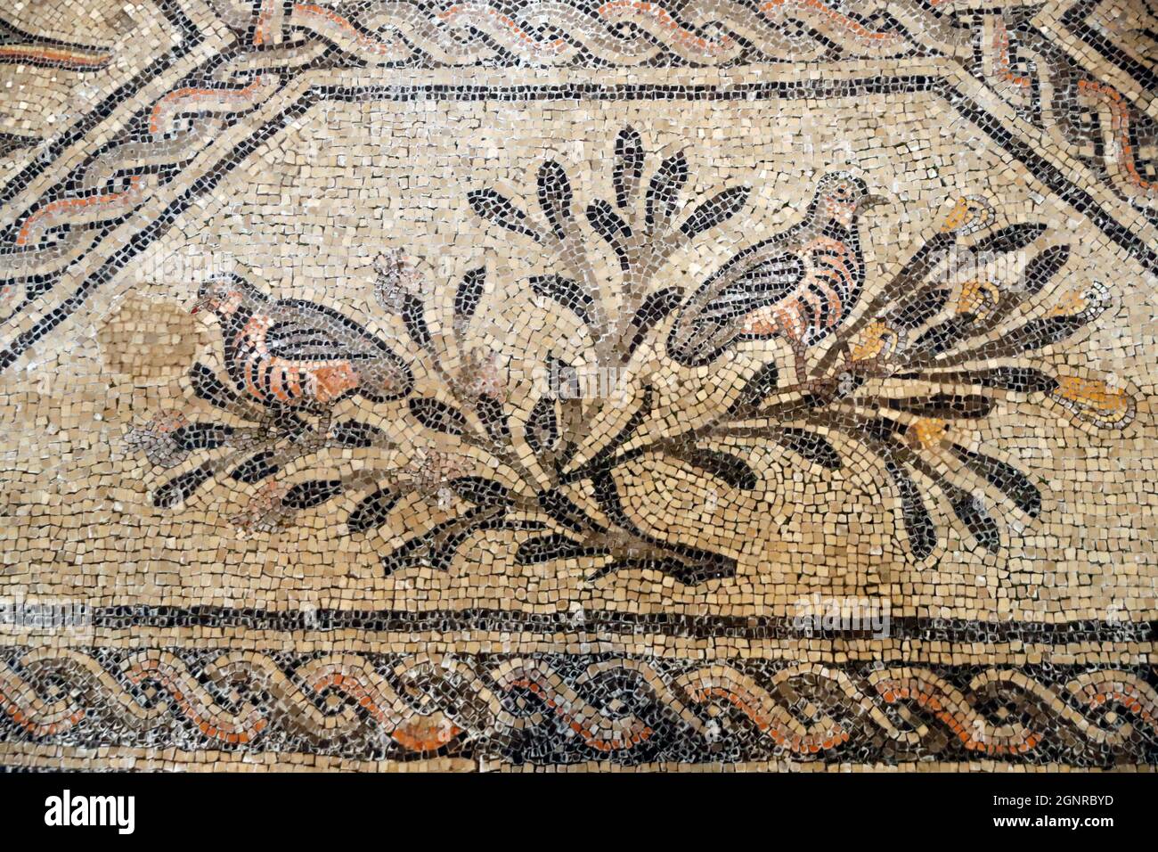 Basilique patriarcale d'Aquileia. Sol en mosaïque avec symbolisme chrétien, 4e siècle. Italie. Banque D'Images