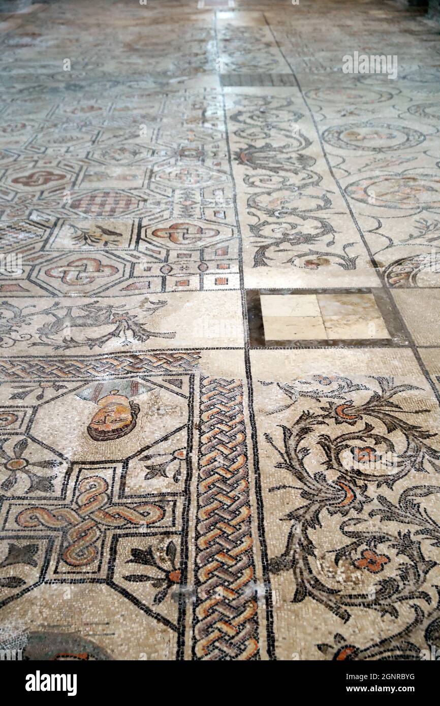 Basilique patriarcale d'Aquileia. Sol en mosaïque avec symbolisme chrétien, 4e siècle. Italie. Banque D'Images