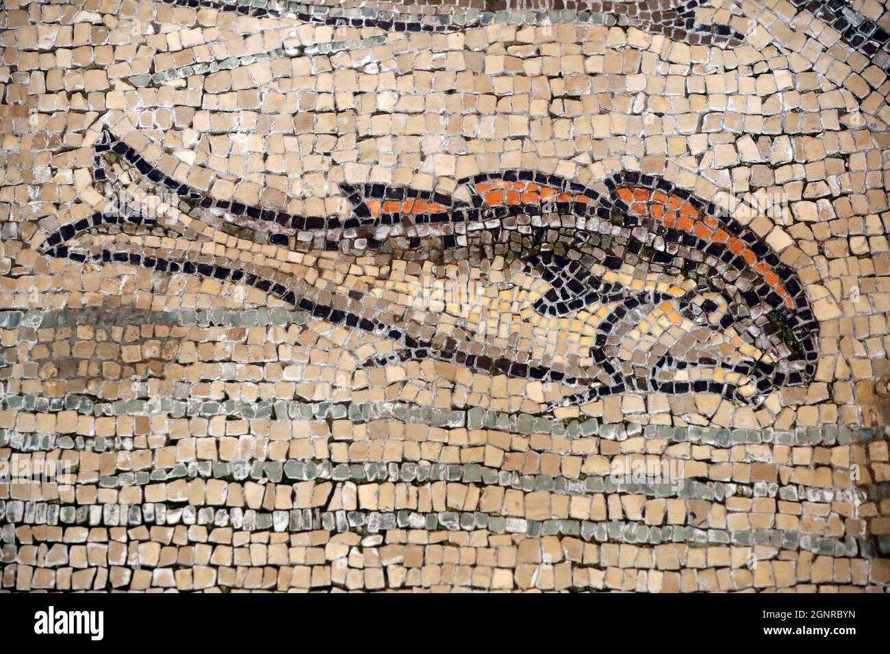 Basilique patriarcale d'Aquileia. Sol en mosaïque avec symbolisme chrétien, 4e siècle. Poisson. Italie. Banque D'Images