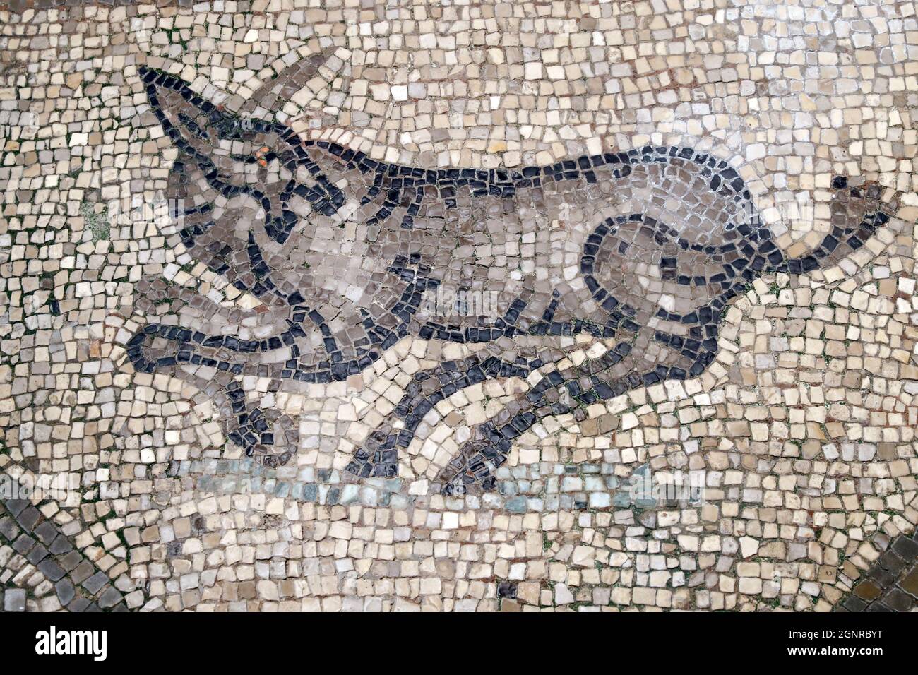 Basilique patriarcale d'Aquileia. Sol en mosaïque avec symbolisme chrétien, 4e siècle. Cette âne galopante. Italie. Banque D'Images