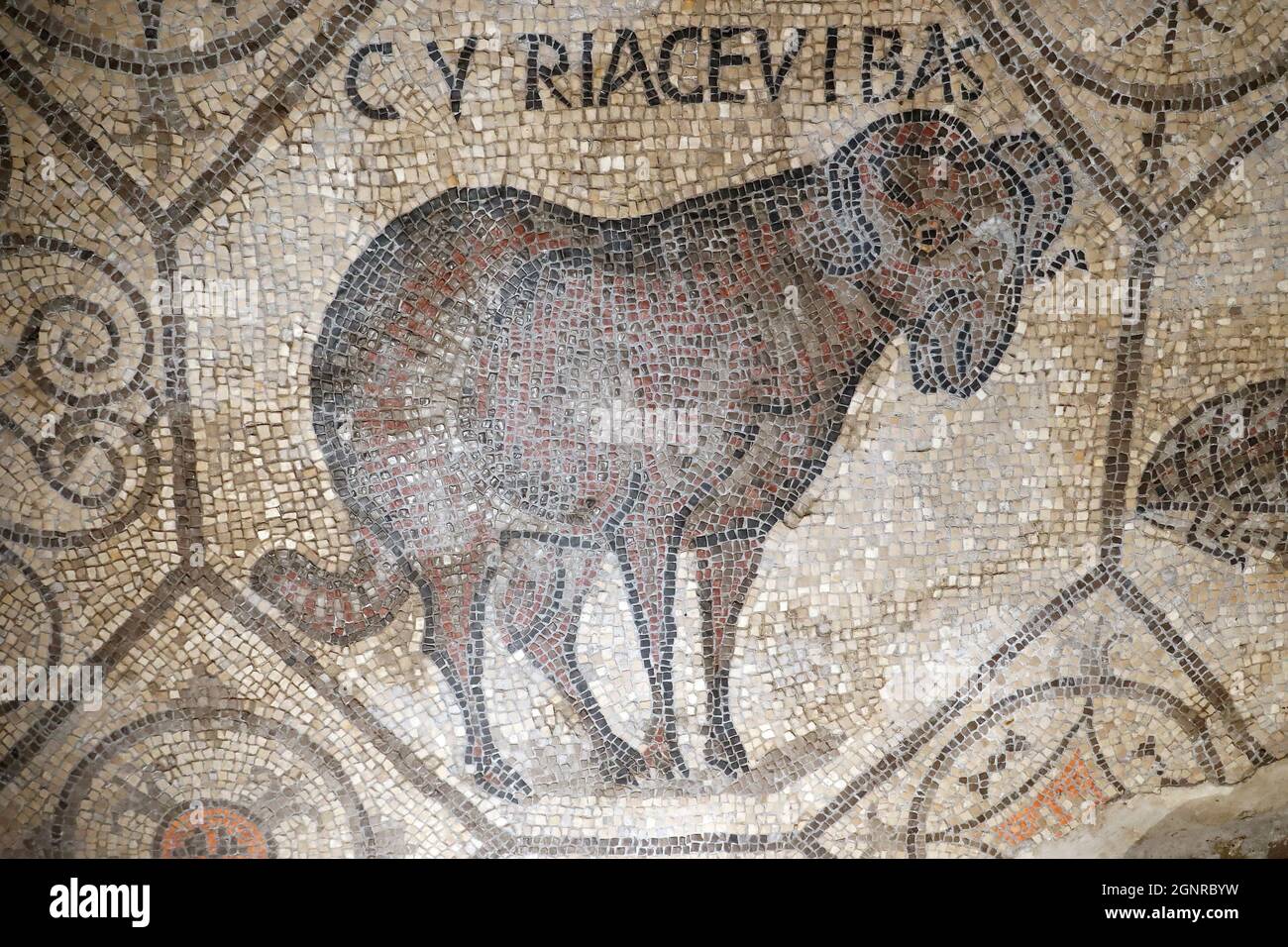 Basilique patriarcale d'Aquileia. Sol en mosaïque avec symbolisme chrétien, 4e siècle. Italie. Banque D'Images