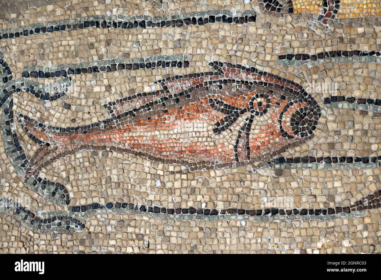 Basilique patriarcale d'Aquileia. Sol en mosaïque avec symbolisme chrétien, 4e siècle. Poisson. Italie. Banque D'Images