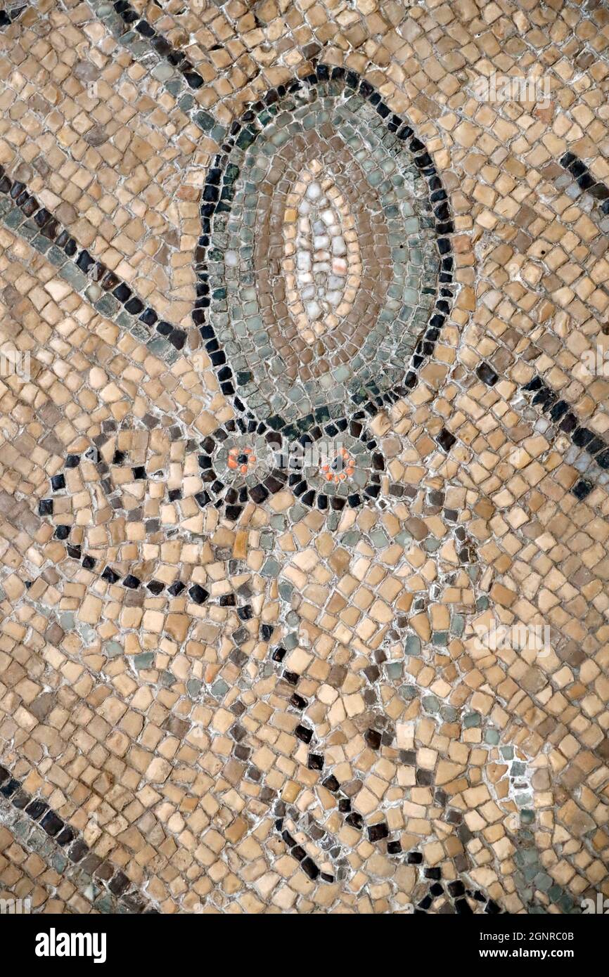 Basilique patriarcale d'Aquileia. Sol en mosaïque avec symbolisme chrétien, 4e siècle. Calmar. Italie. Banque D'Images