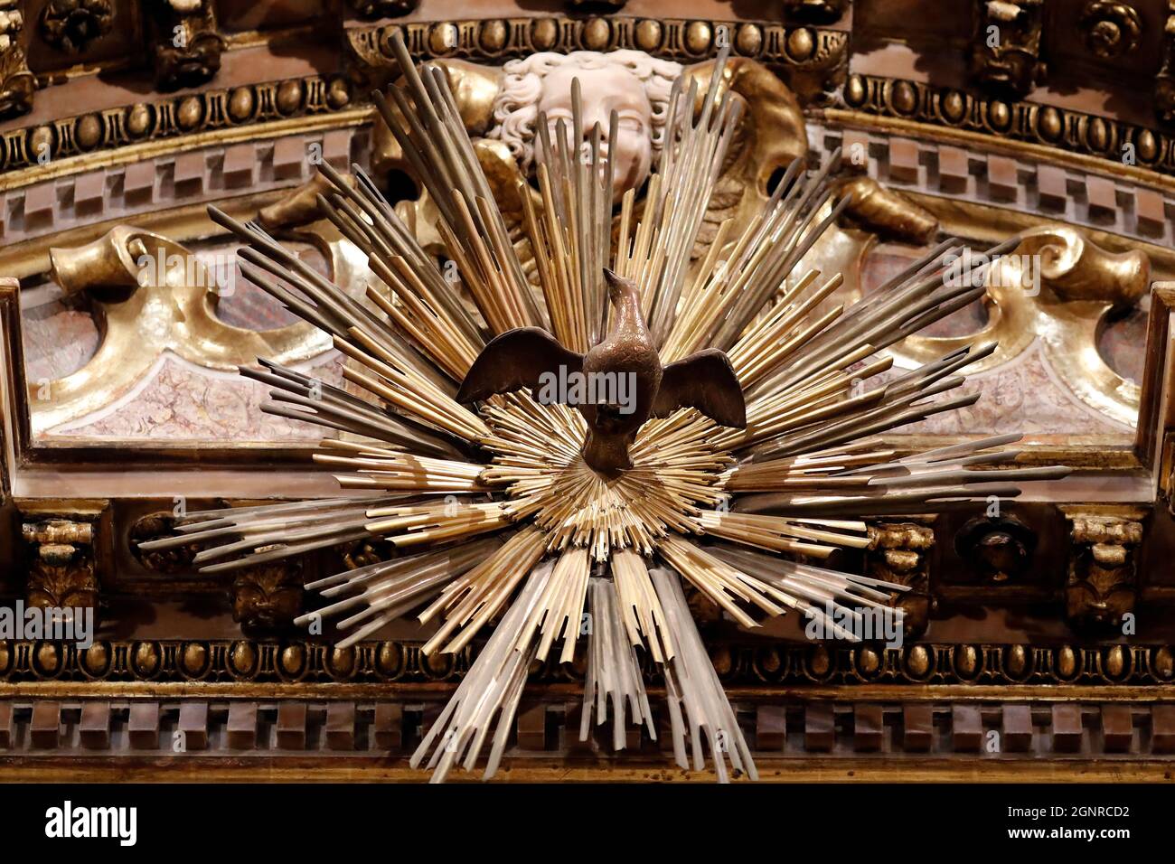 Colombe de l'Esprit Saint. Basilique Santa Maria delle Vigne. Gênes. Italie. Banque D'Images