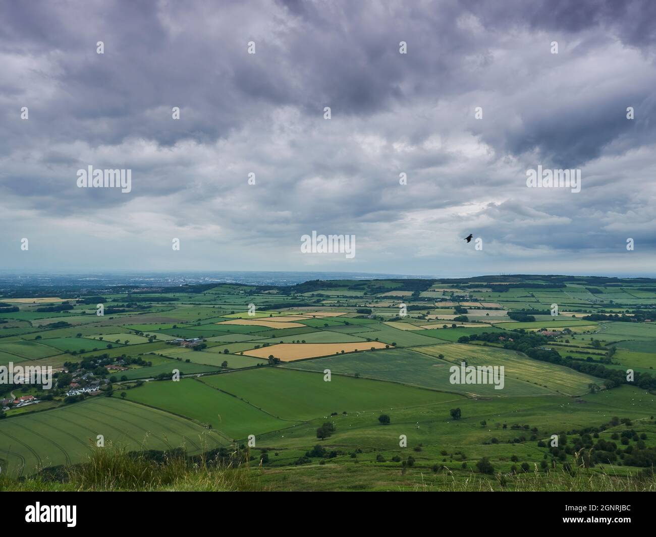 Un panorama panoramique depuis le sommet de la roseberry, à travers les champs verts jusqu'à l'industrie de Teesside à l'horizon lointain, sous un ciel couvert. Banque D'Images