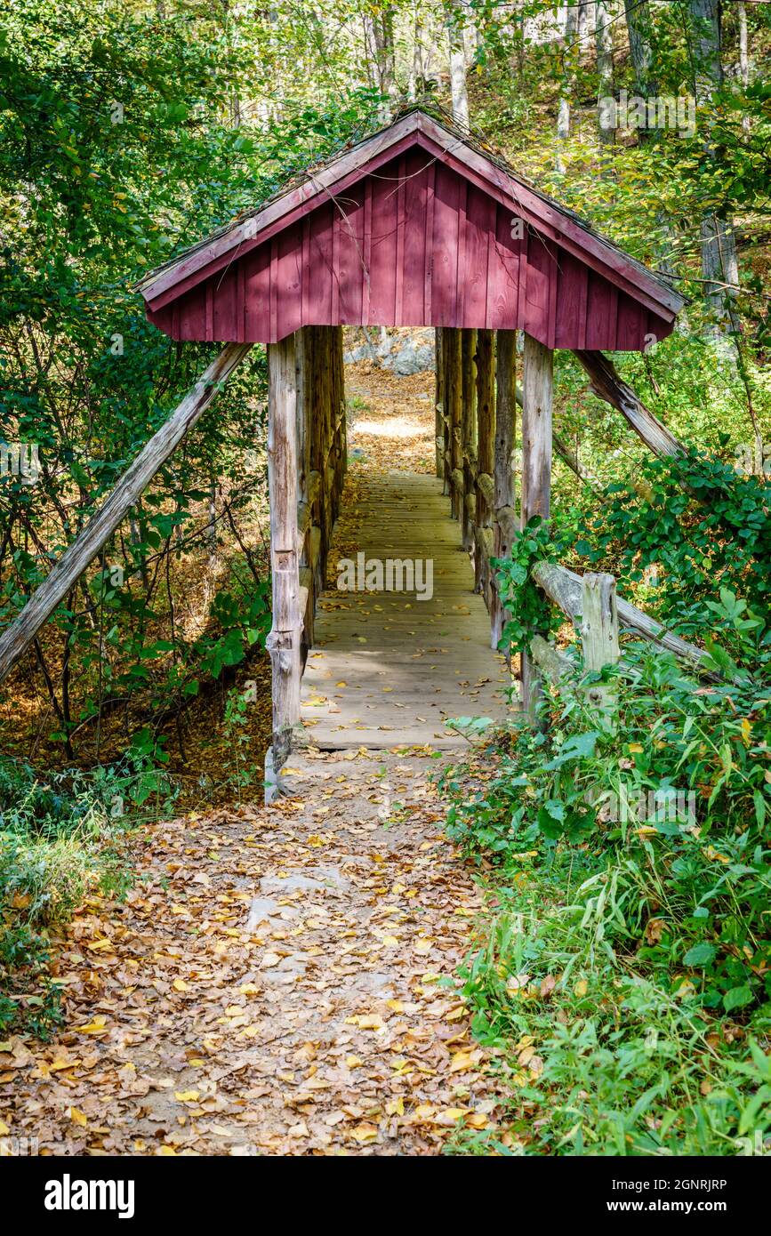 Passerelle couverte sur un sentier de randonnée dans le parc national de Gillette Castle, Connecticut Banque D'Images