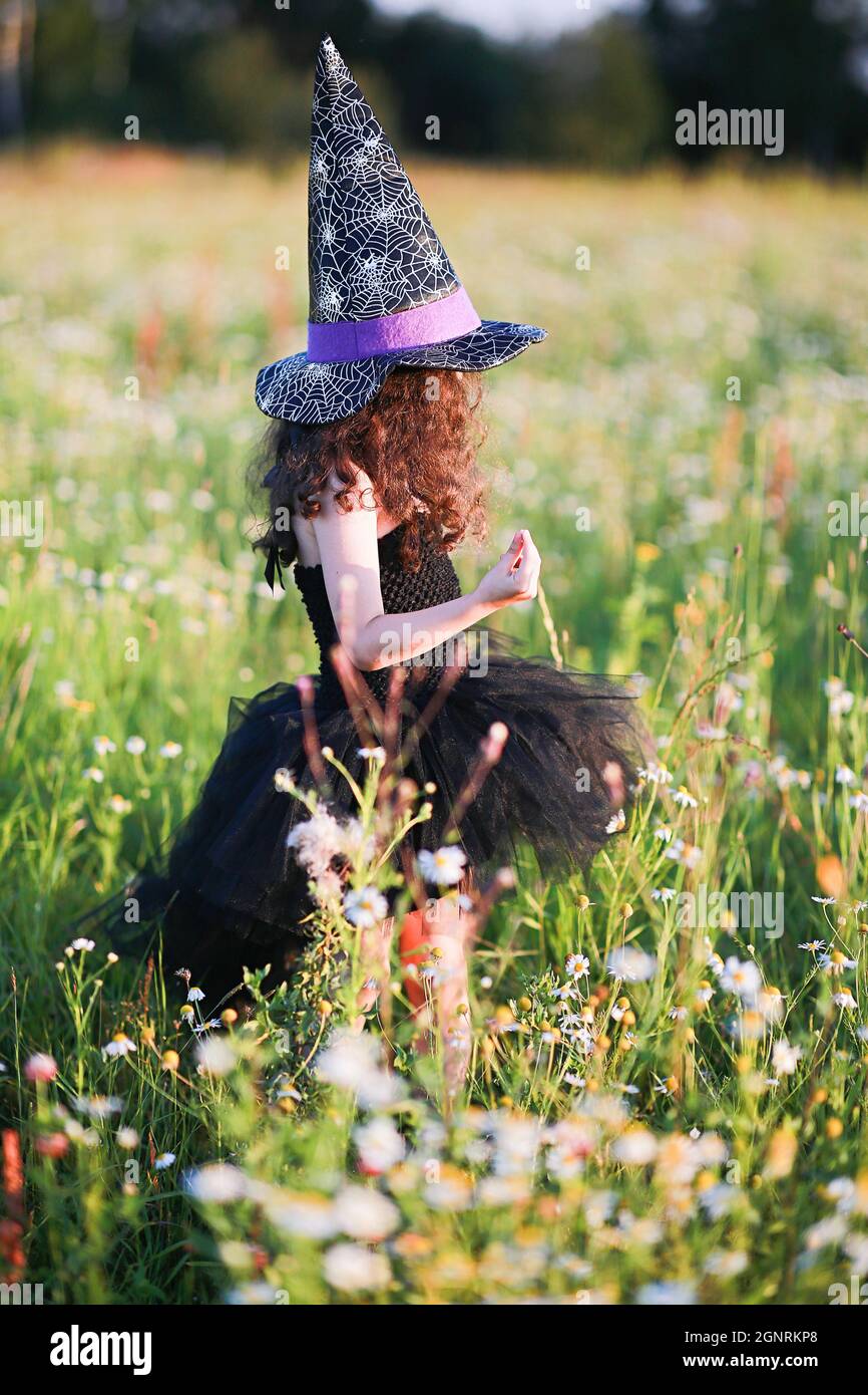 Une fille dans une robe noire et un chapeau de sorcière recueille des herbes pour une potion. Banque D'Images