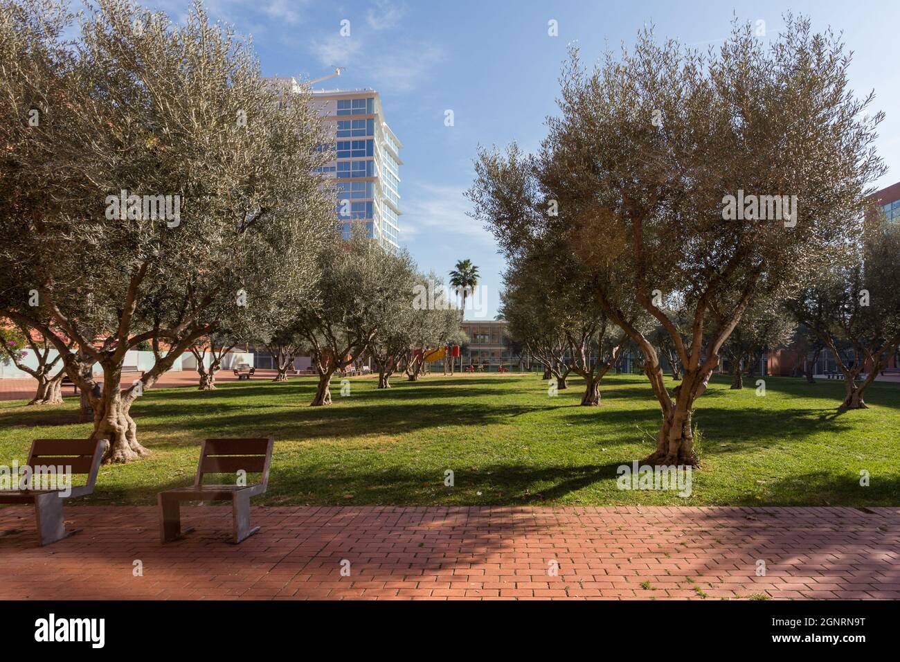 Magnifique parc verdoyant avec arbres et bancs dans un quartier résidentiel moderne à côté de la mer de Barcelone, Catalogne, Espagne. Banque D'Images