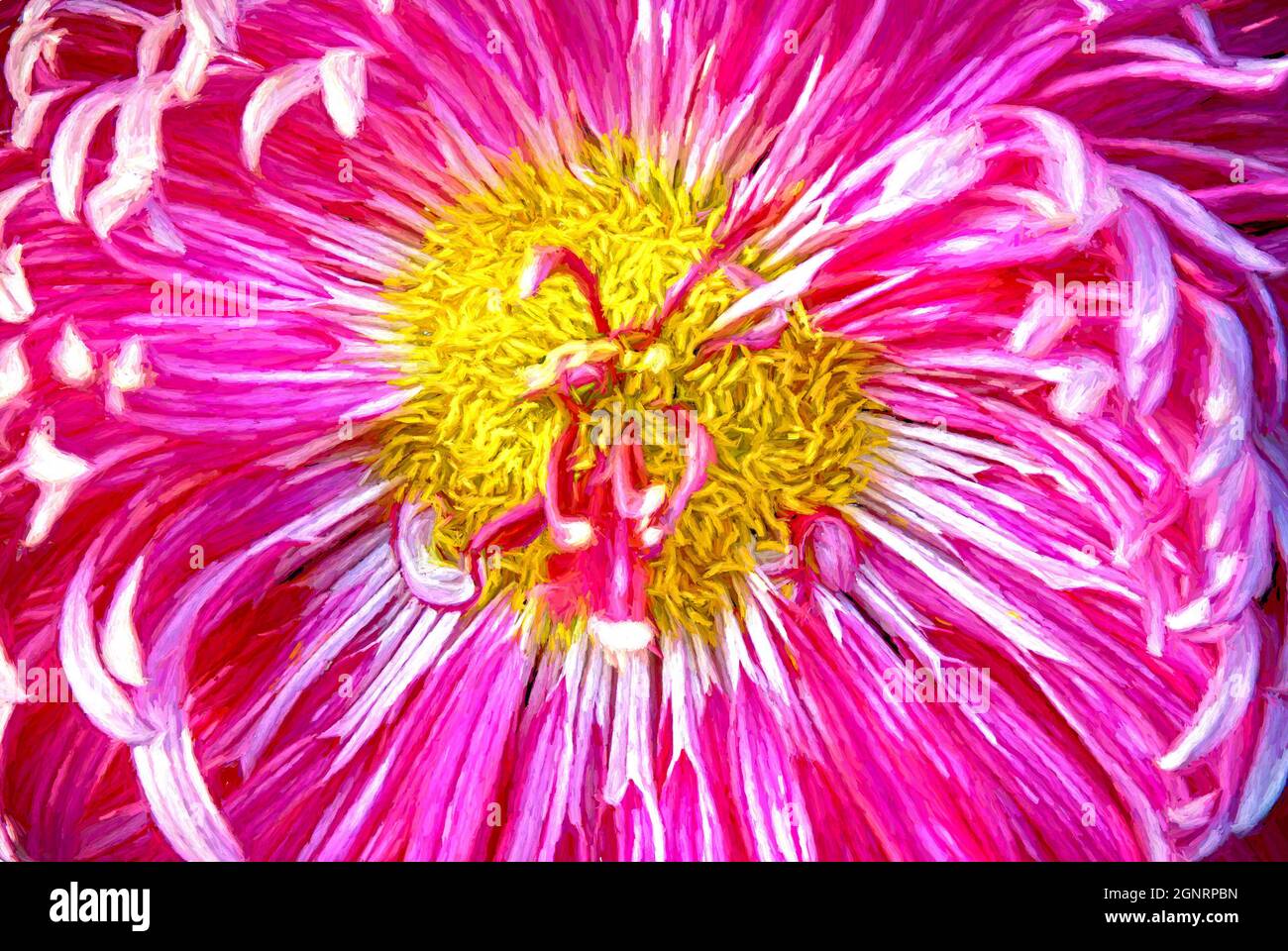 Peinture numérique d'un chrysanthème en fleur. Banque D'Images