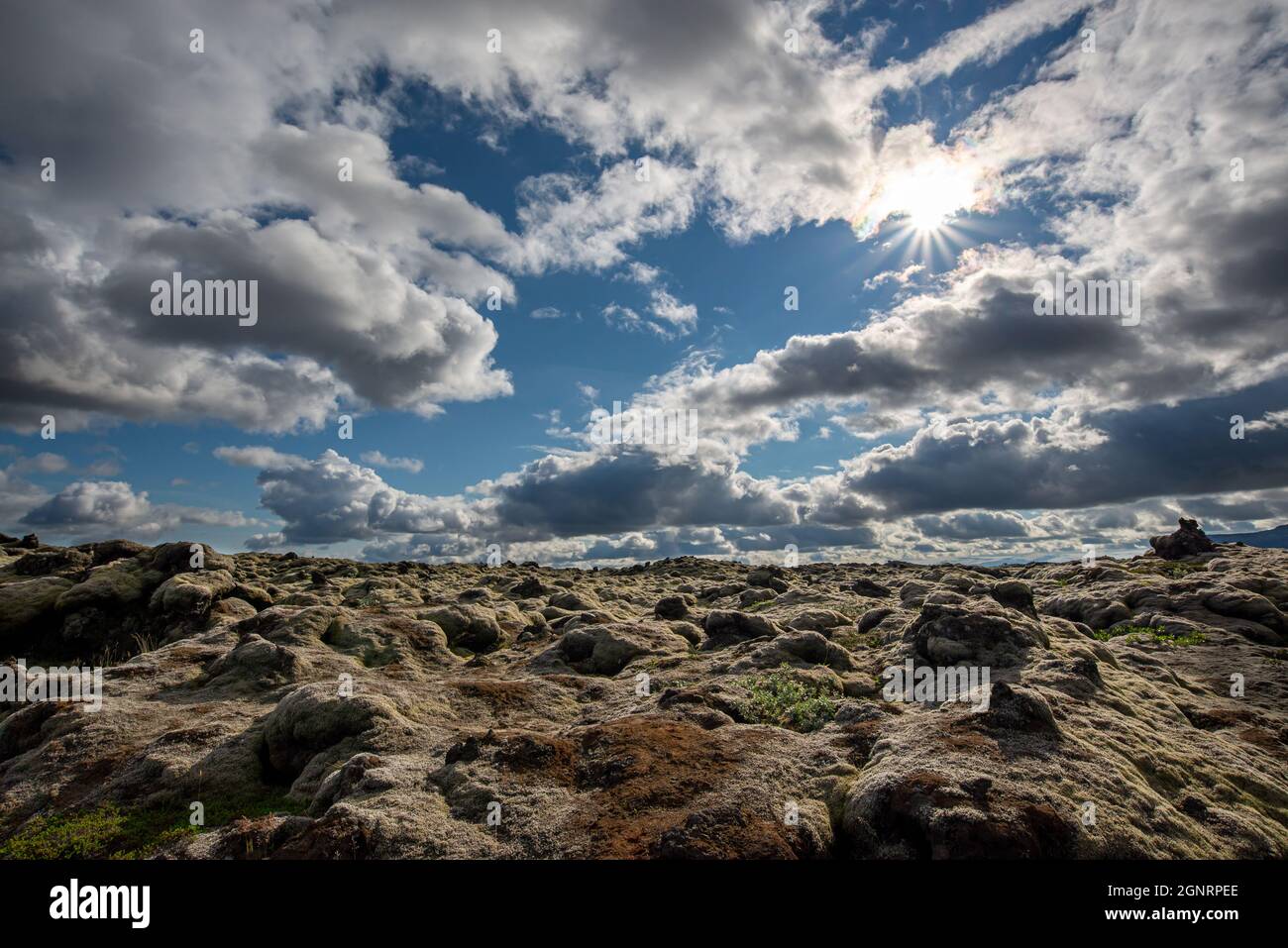 Paysage de champ de lave d'Eldhraun dans le sud de l'Islande Banque D'Images