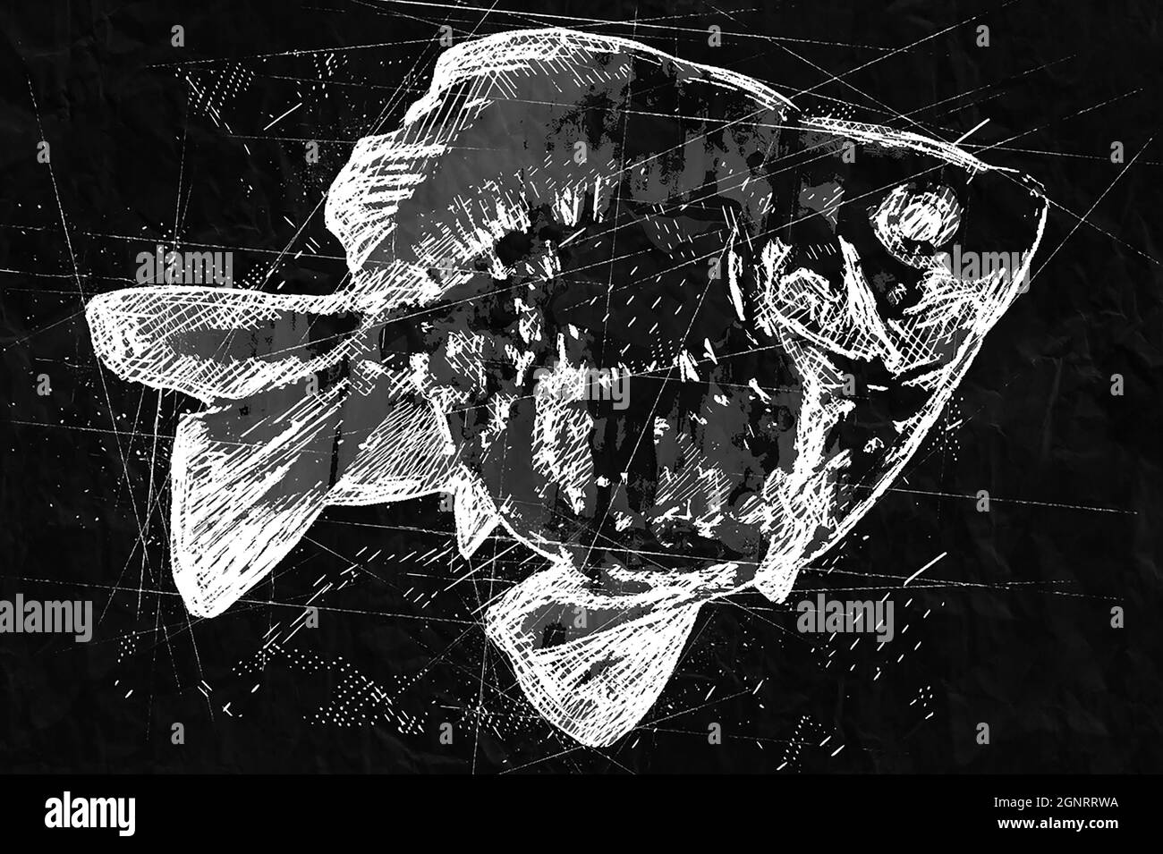 illustration numérique abstraite noir et blanc d'un poisson doré Banque D'Images