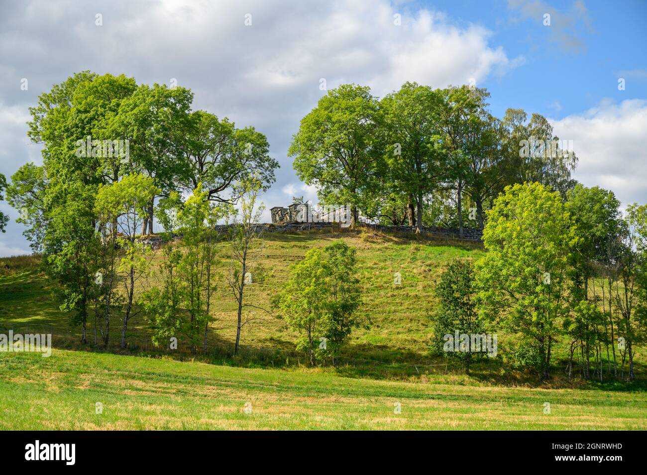 Les ruines de l'église de Hola à Ulefoss, comté de Telemark, en Norvège, remontent aux années 1100s et est située sur un terrain élevé dans un paysage rural idyllique. Banque D'Images