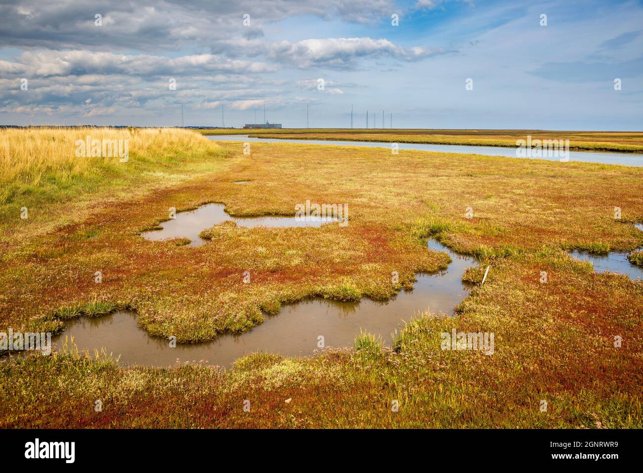 De l'autre côté du marais jusqu'aux mâts radio Cobra Mist à Orfordness, Suffolk, Angleterre Banque D'Images