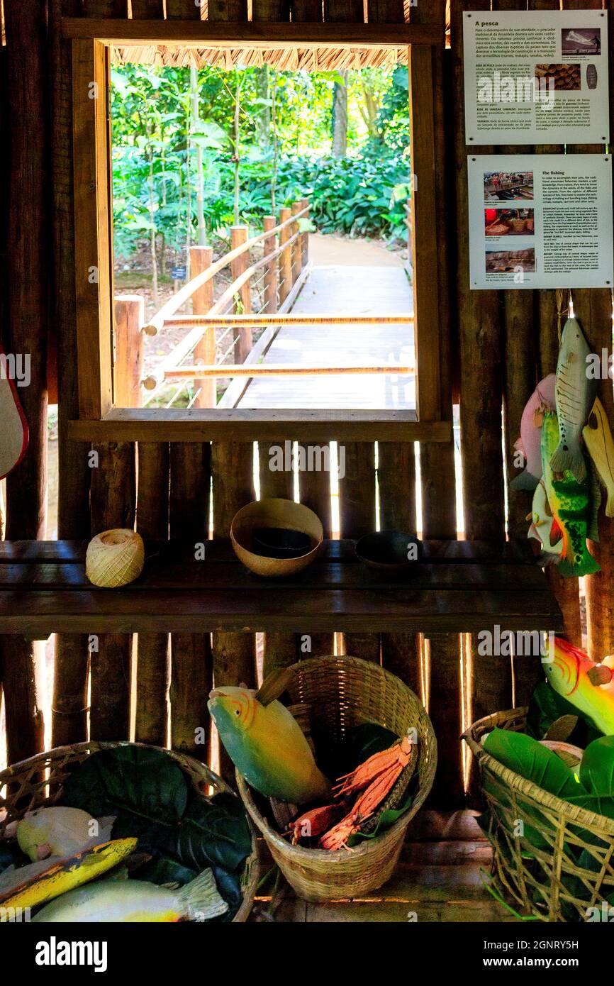 Vue panoramique depuis l'intérieur d'une maison de pêcheur artisanale amazonienne dans le jardin botanique de Rio de Janeiro, Brésil. Les connaissances et les pratiques de l' Banque D'Images