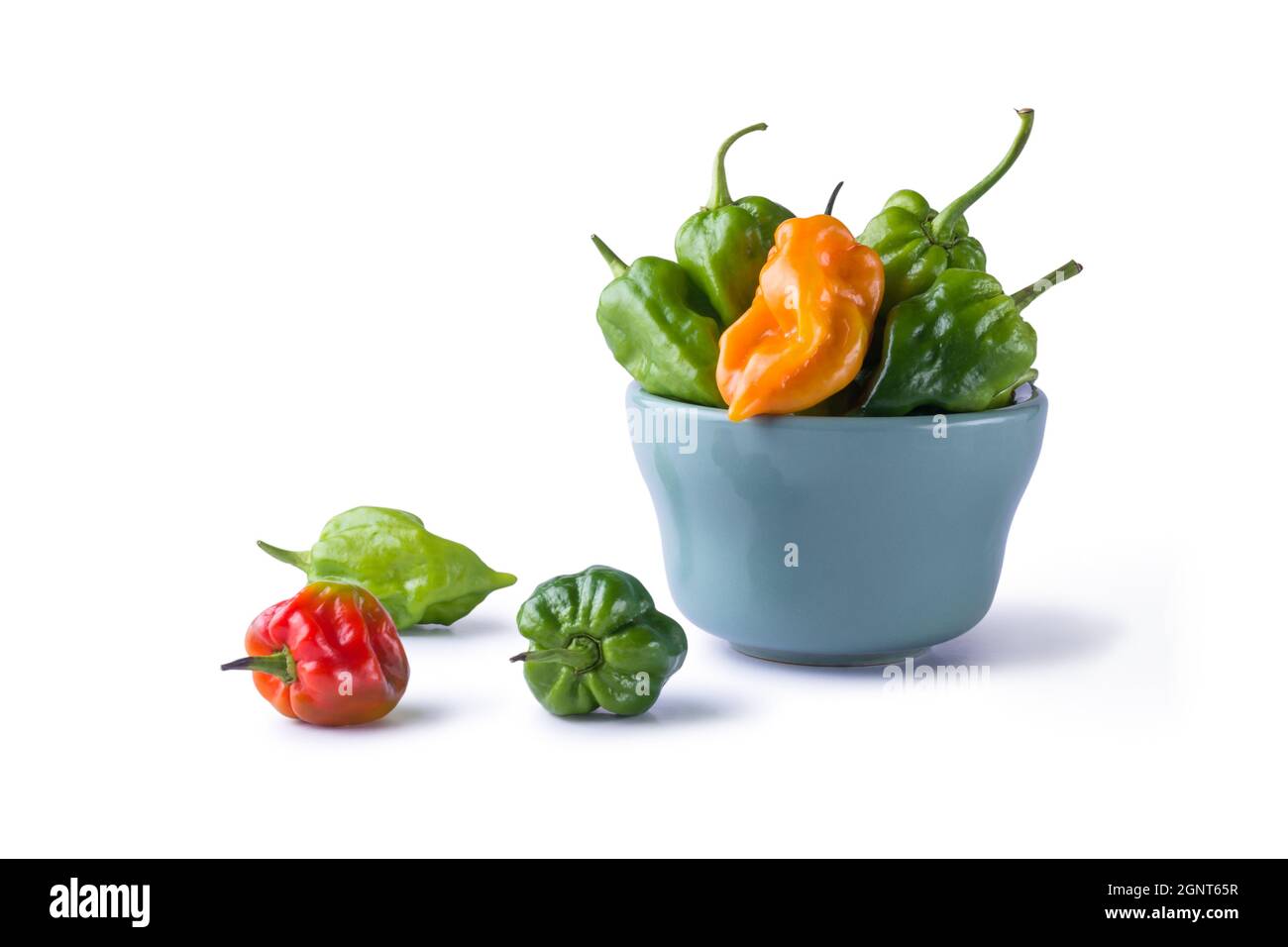 poivrons de piment de habanero, variété chaude et mûre de chinense de capsicum, fruits de couleur verte, orange et rouge isolés sur fond blanc Banque D'Images