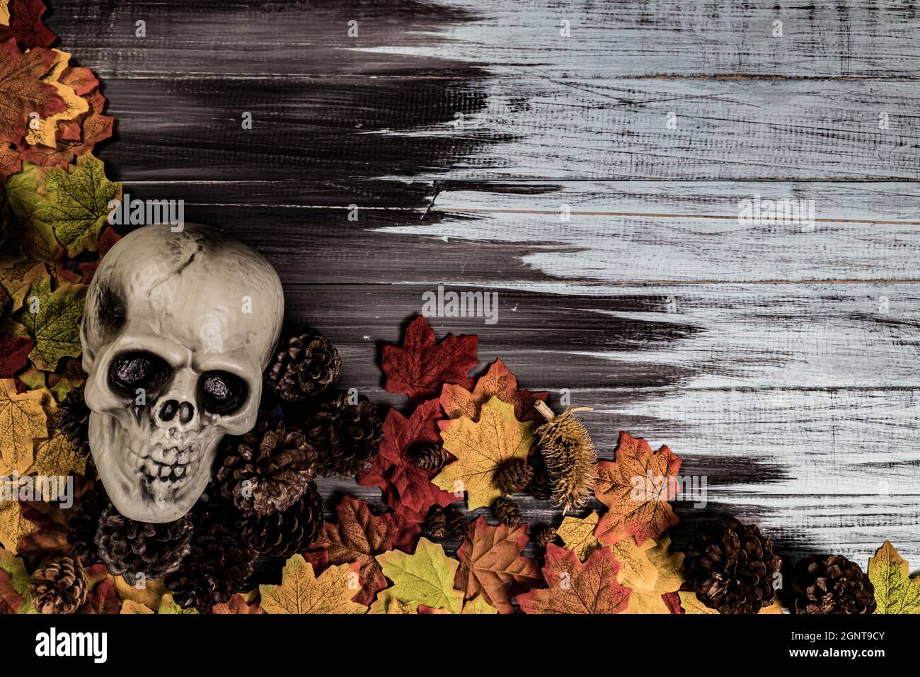 Crâne humain Halloween, feuilles d'érable Halloween sur une vieille table en bois devant un fond noir avec espace libre pour le texte. Concepts d'Halloween. Heureux Banque D'Images