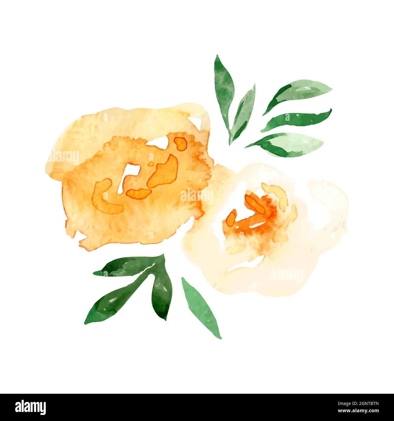 Ensemble d'illustrations vectorielles de fleurs de roses jaunes avec feuilles. Illustration de Vecteur