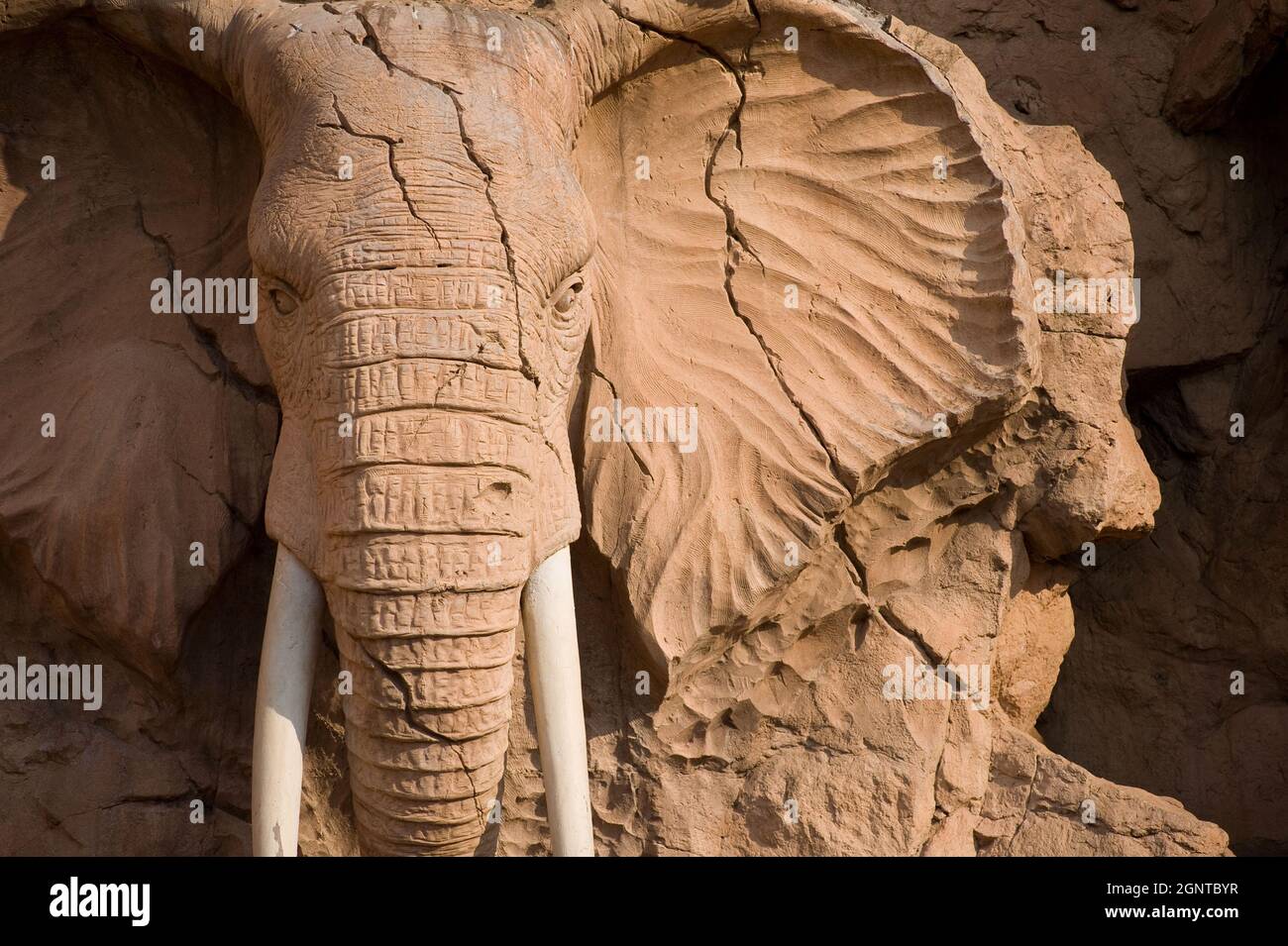 Elephant Statue Sun City est une ville sud-africaine et méga-station de 15 000 habitants, située dans la province du Nord-Ouest, près de la ville de Rutenbur Banque D'Images