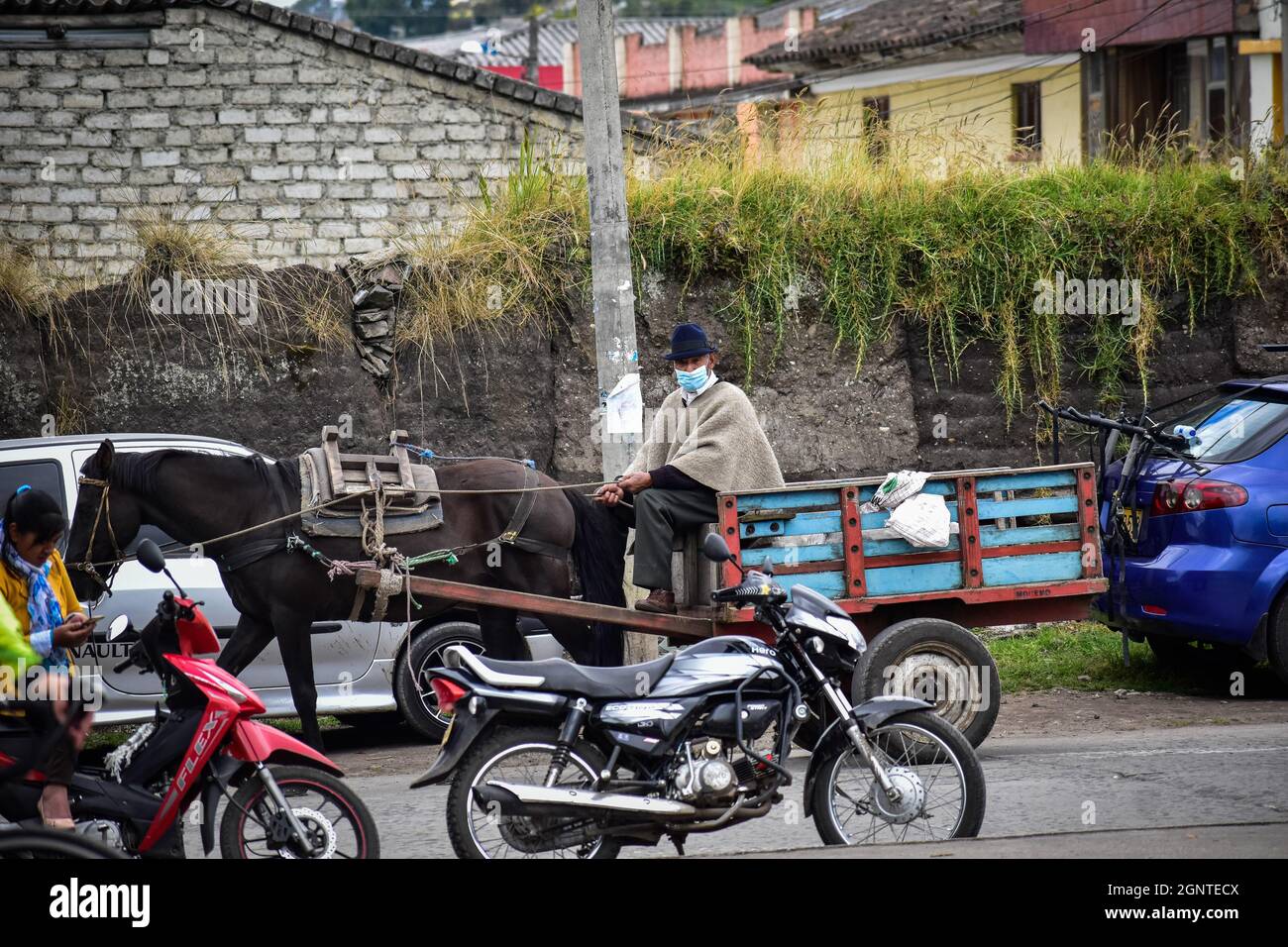 Un homme portant un masque facial de protection monte un chariot de transport de cheval à Cumbal - Nariño, Colombie, le 15 août 2021. Banque D'Images