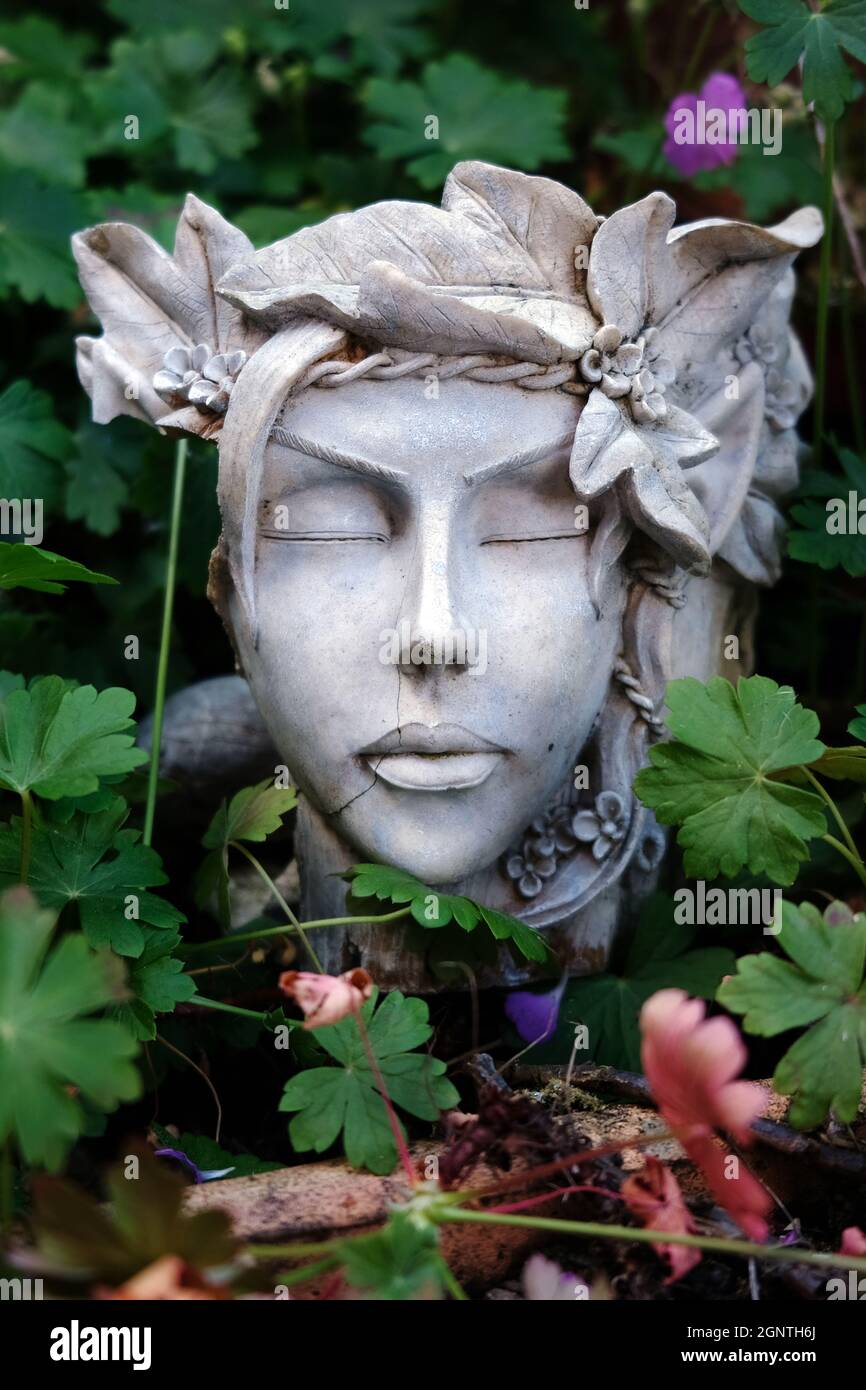 Fleur femme Flower/Plant Pot Banque D'Images