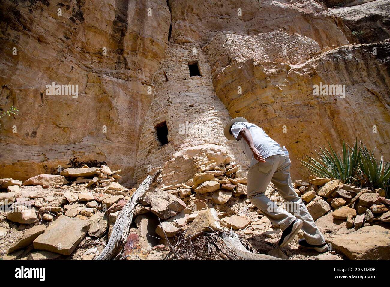 Ute Mountain Ute guide Rickey Hayes randonnées à la maison de l'arbre falaise habitation mardi, 10 août 2021, dans le Lion Canyon dans le parc tribal de la montagne Ute où les ancêtres Puebloans vivaient autour de 1140 A.D. (photo par Christian Murdock/The Gazette/TNS/Sipa USA) crédit: SIPA USA/Alay Live News Banque D'Images