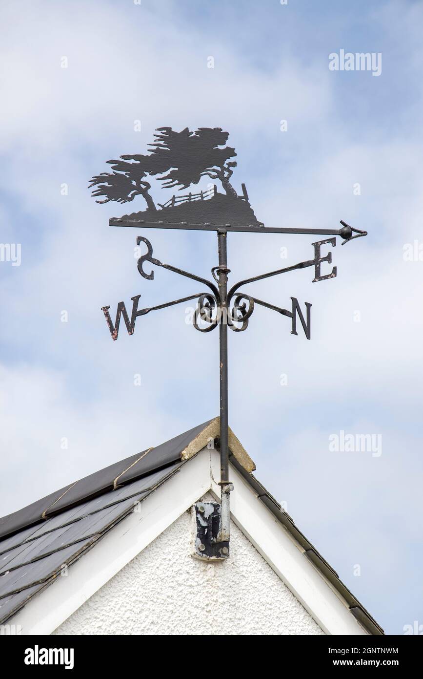 Weathervane sur la maison avec des arbres soufflés de cascades comme motif, East Hook, pays de Galles, Royaume-Uni Banque D'Images