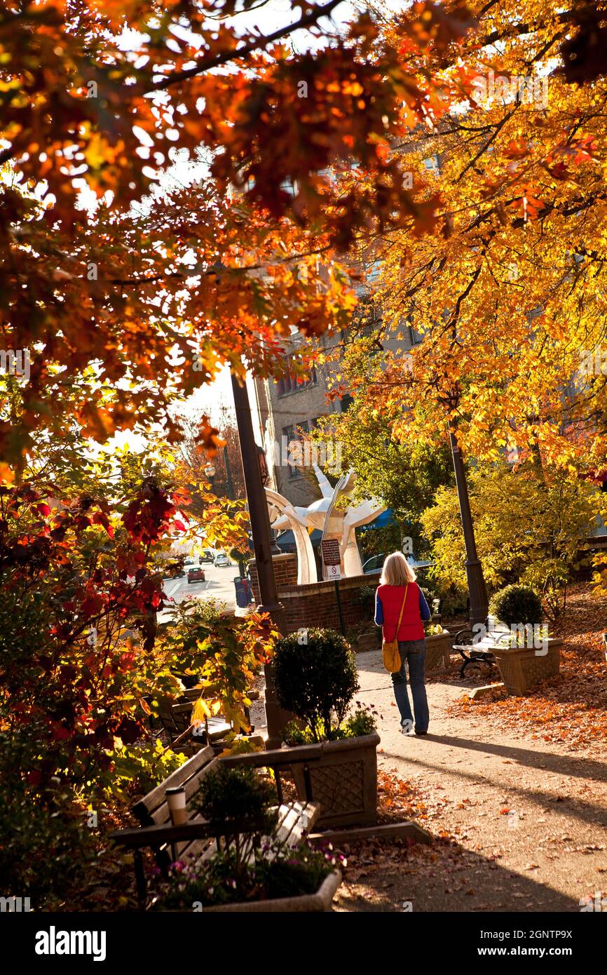 Feuilles d'automne au Pritchard Park à Asheville, en Caroline du Nord. Banque D'Images