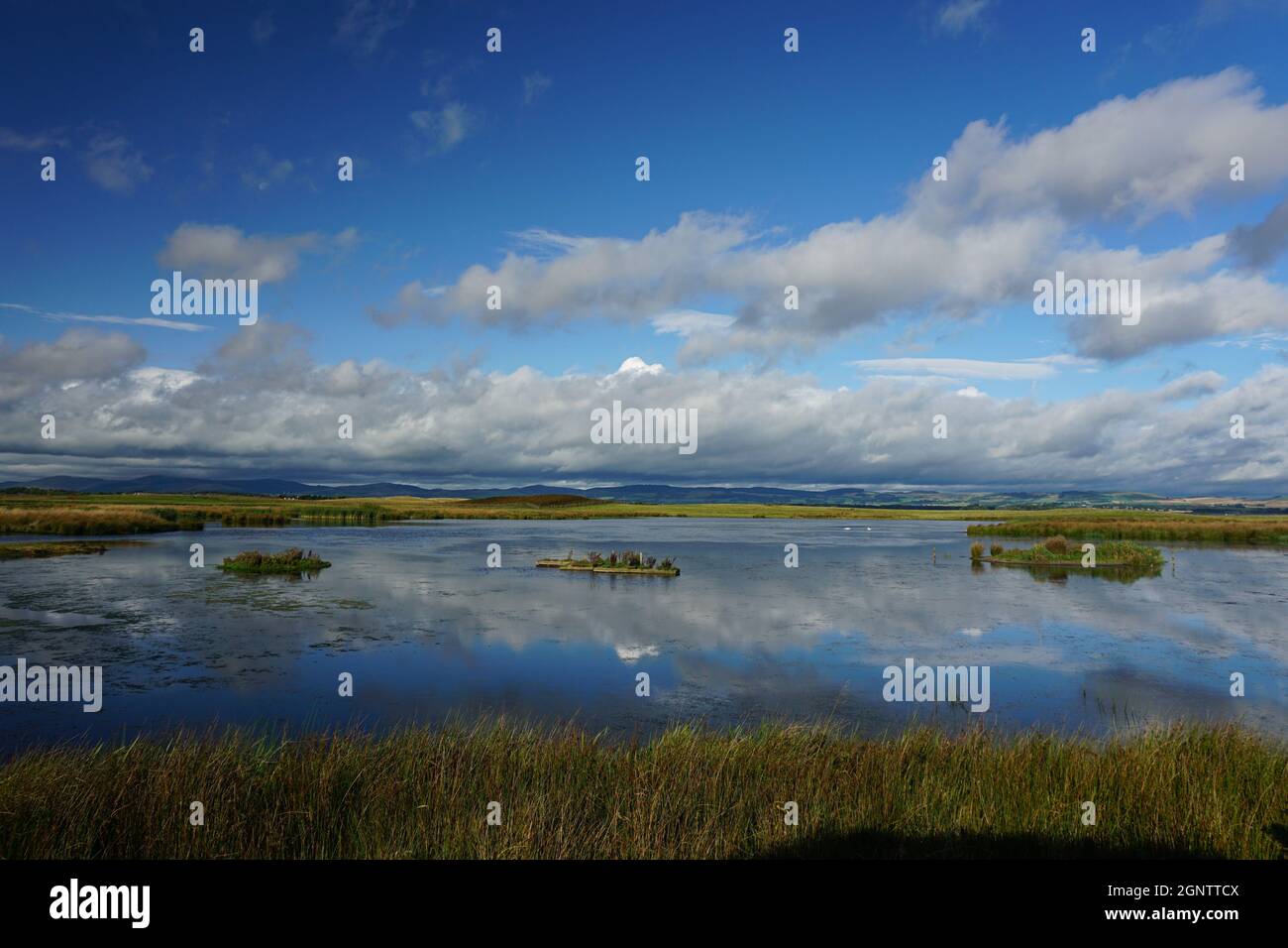 RSPB Loch Leven, réserve ornithologique de Fife, Écosse Banque D'Images